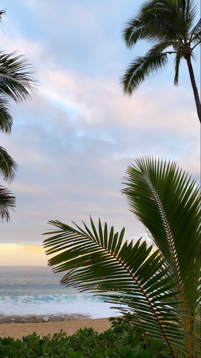 676x1200 hawai'i 彡. Scenery wallpaper, Sky aesthetic, Ocean wallpaper