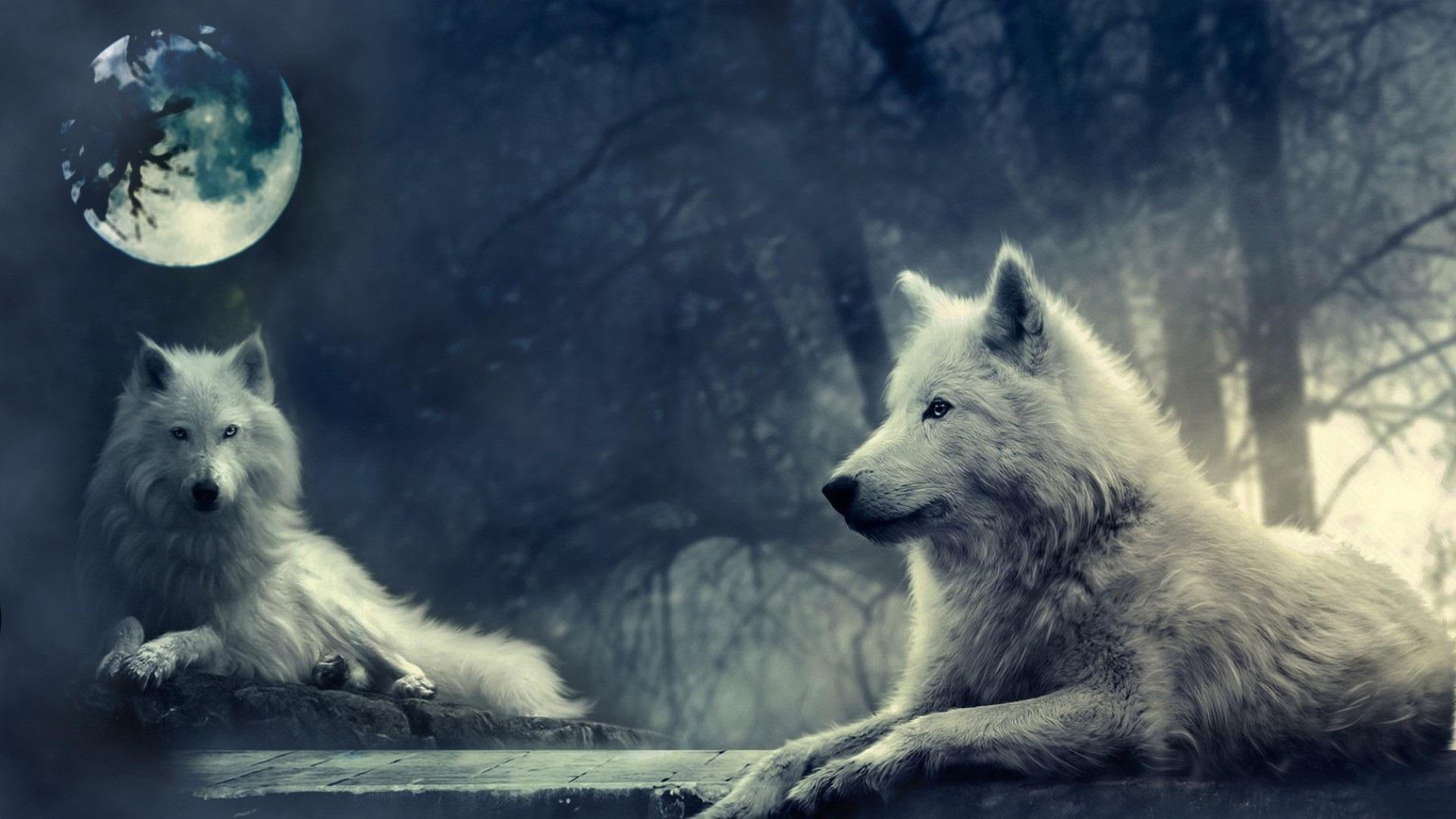 1920x1080 Wolf And Moon Wallpaper