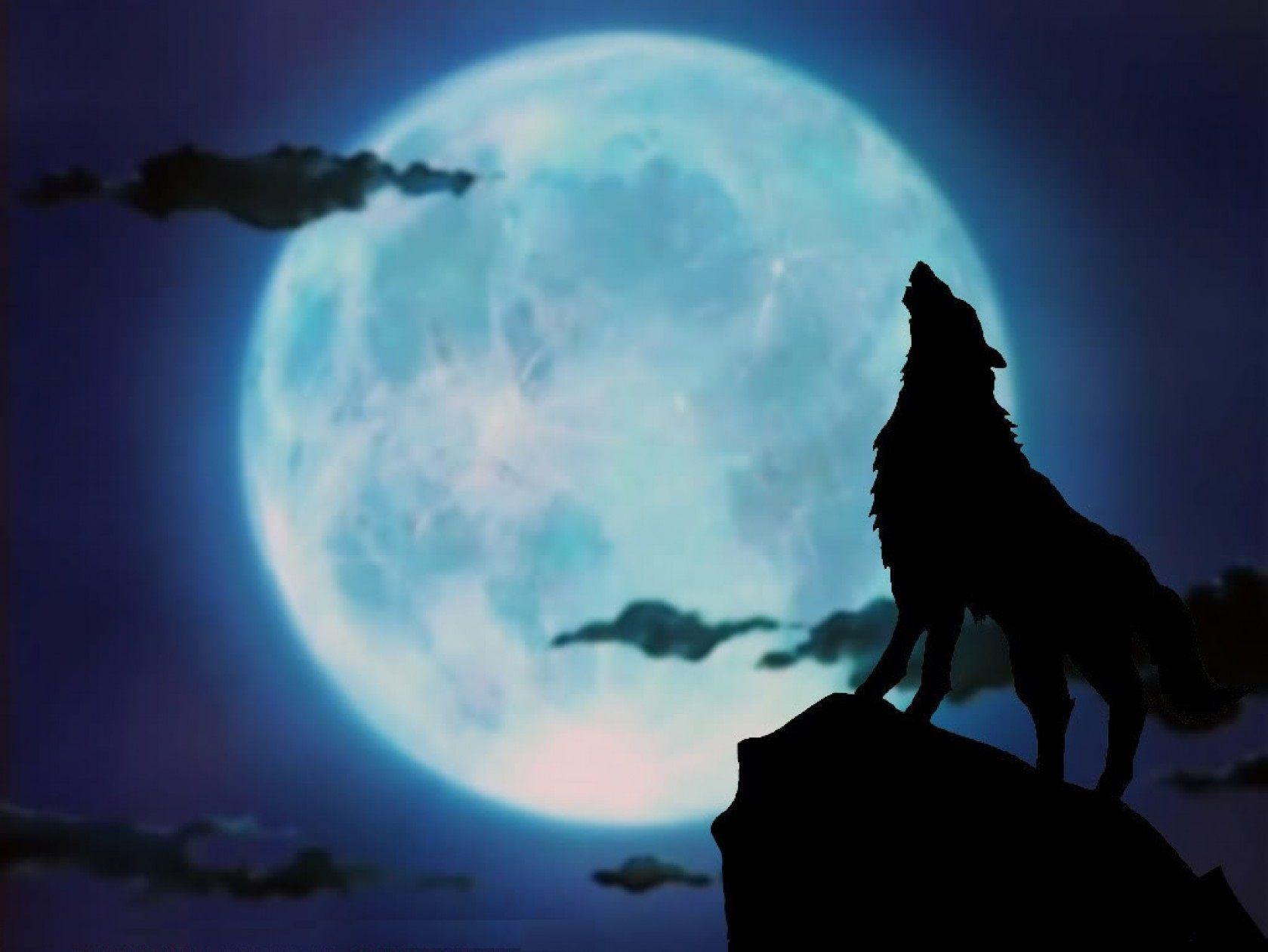1679x1260 Wolf Howling At The Red Moon Wallpaper