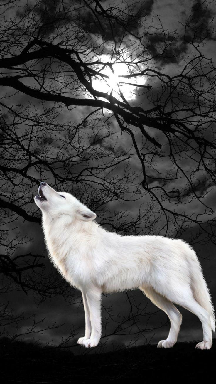 736x1308 Wolf howling at the moon. Wolf spirit animal, Wolf photography, Wolf photo