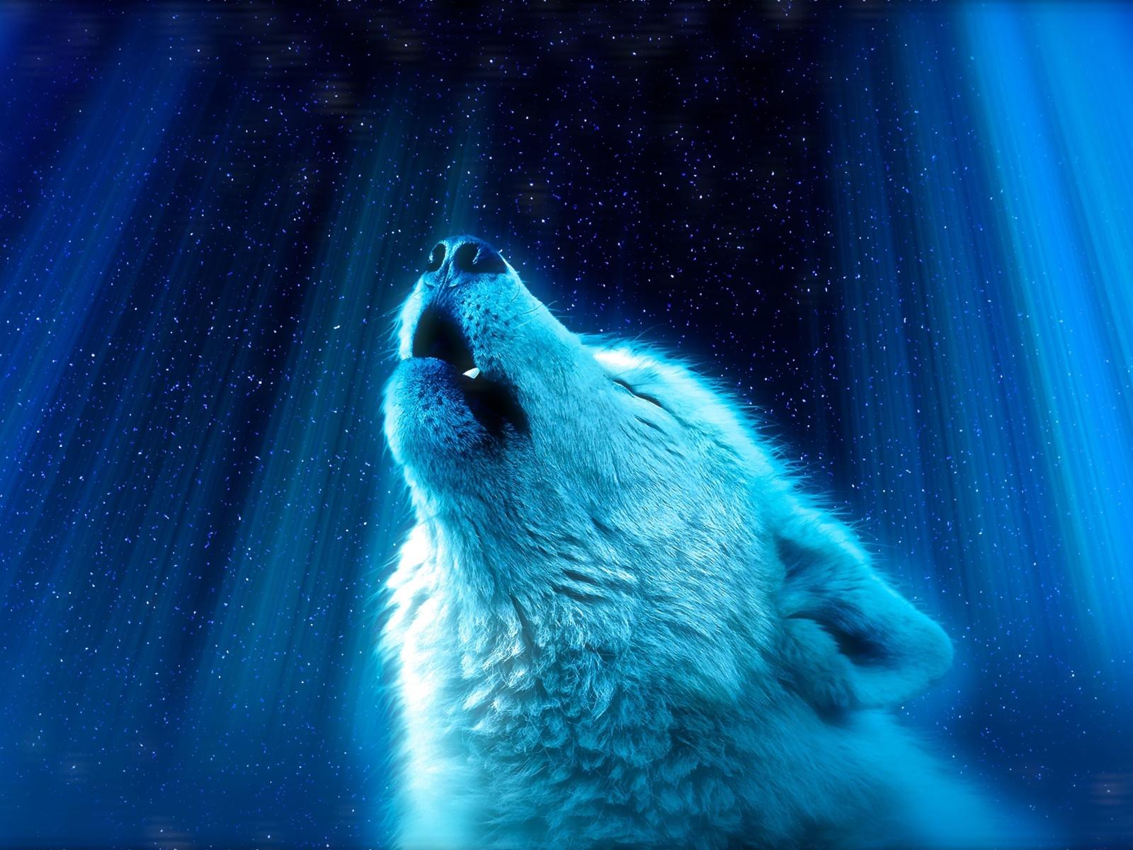1600x1200 Fantastic white wolf howls at the moon Desktop wallpaper 1600x1200