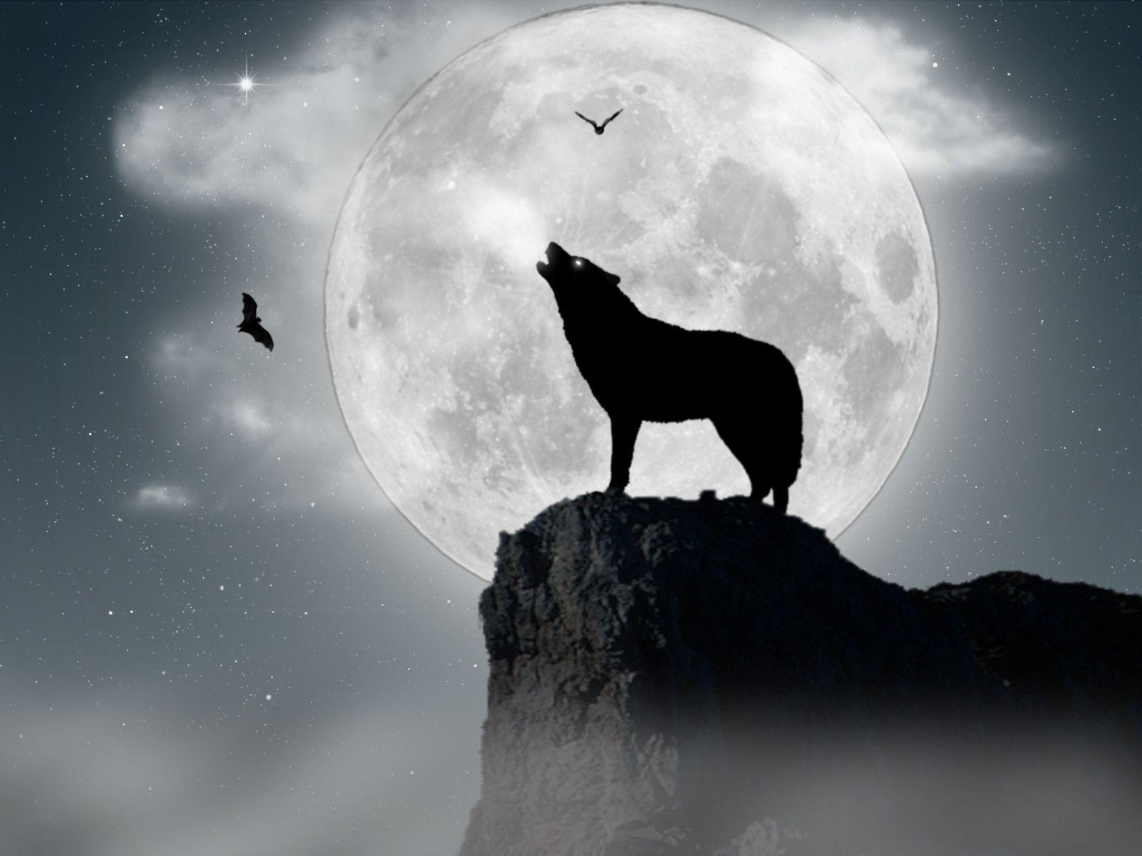 1600x1200 Wolves Howling Wallpaper