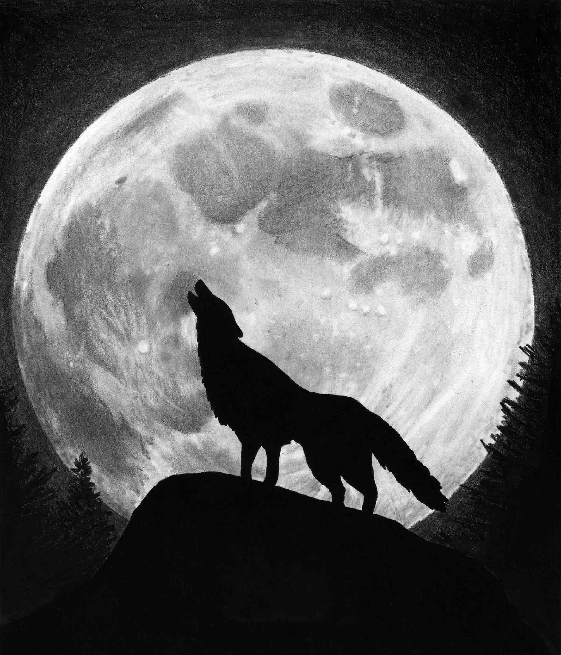 1880x2195 Moon Wolf Wallpaper