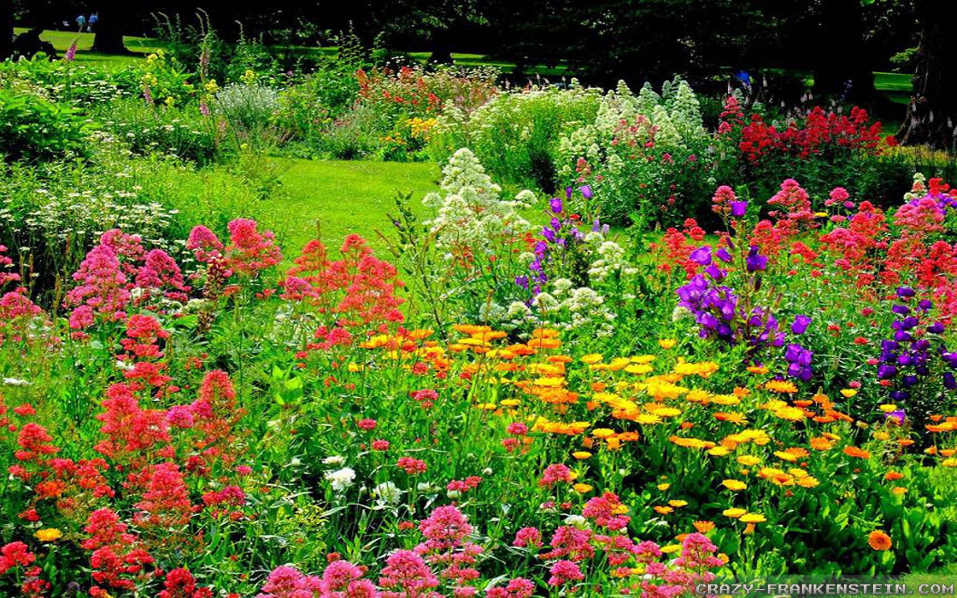 1920x1200 The Wonderful World of Flower Gardens. The Lone Girl in a Crowd