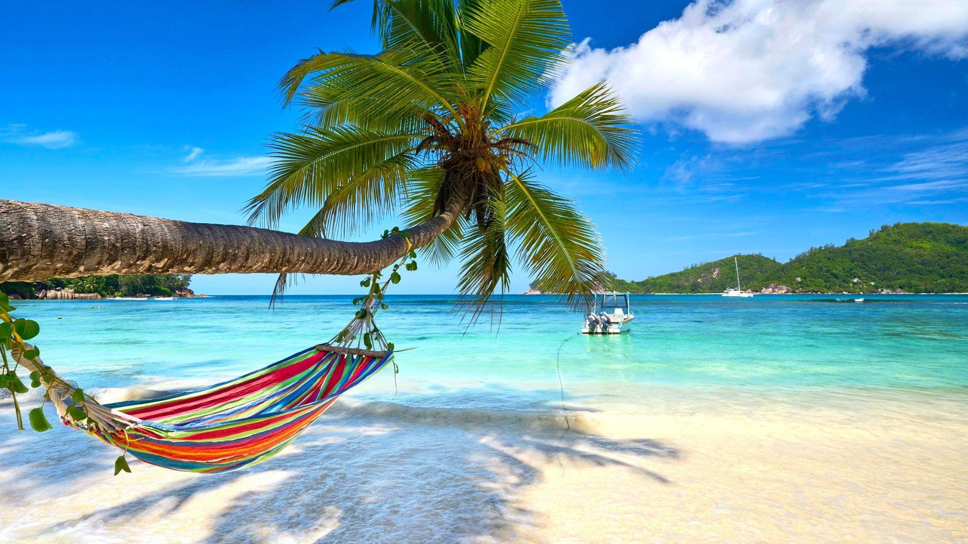 1920x1080 sea #leisure #lagoon #summer #summertime #sky #tourism #shore #vacation #hammock summer landscape #holiday #tro. Beach wallpaper, Beach landscape, Nature posters