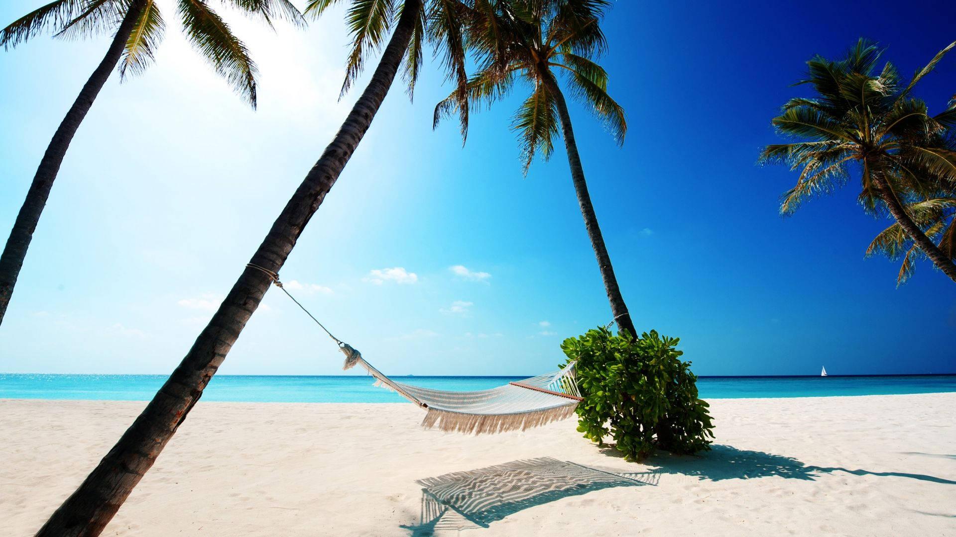 1920x1080 Download Summer Beach Hammock Wallpaper