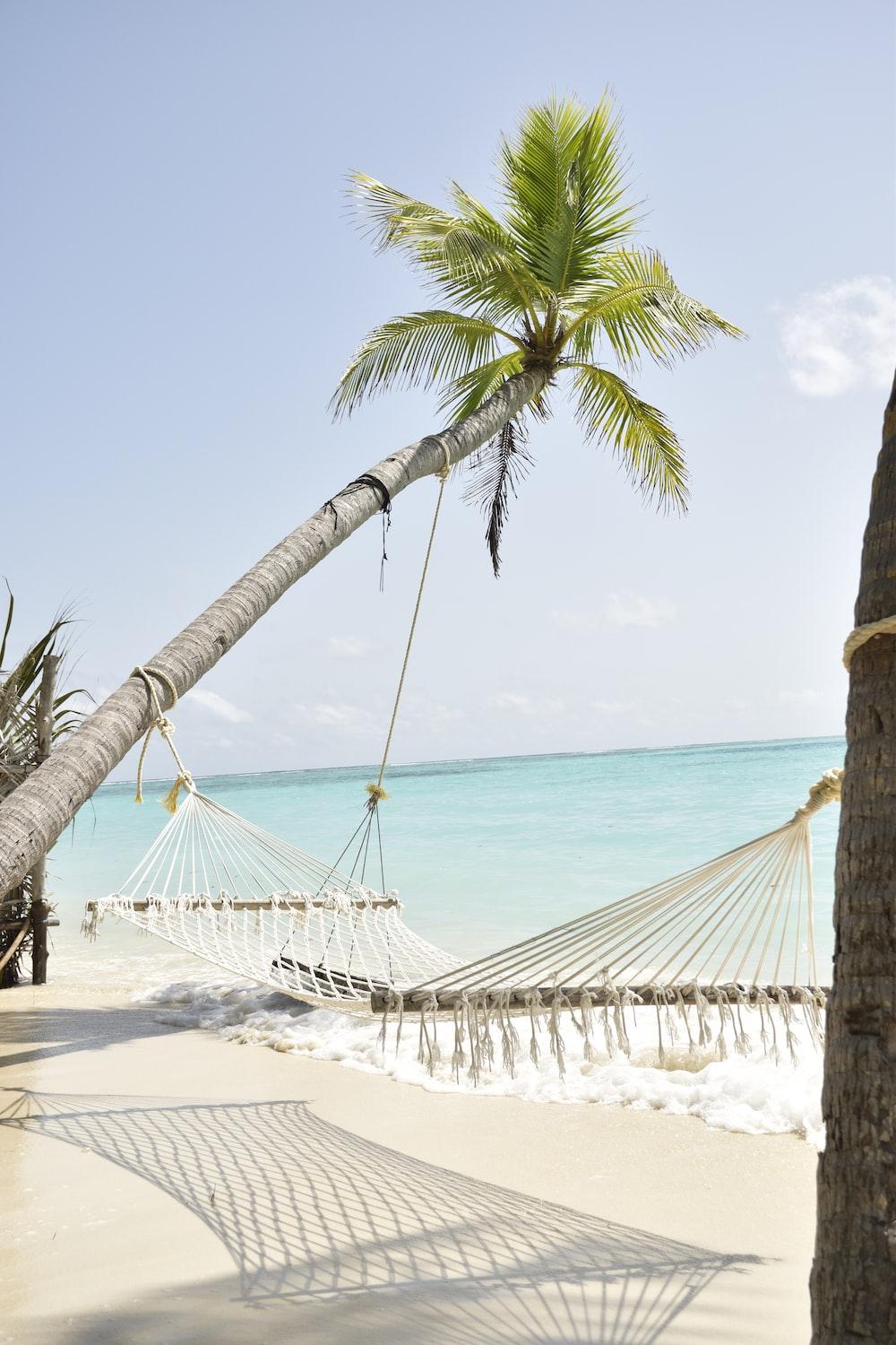 1000x1500 Beach Hammock Picture. Download Free Image