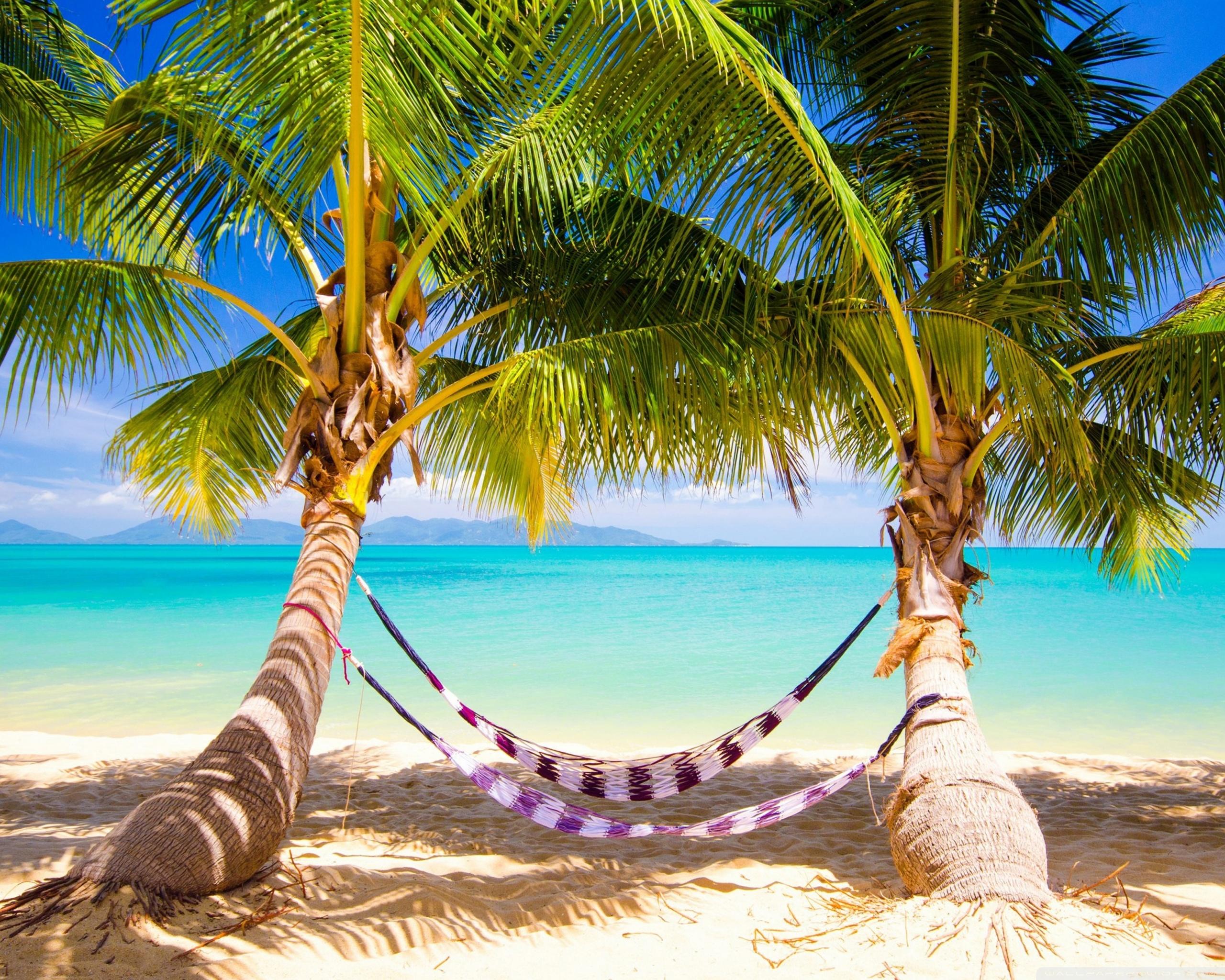 2560x2048 Tropical Beach Hammock Ultra HD Desktop Background Wallpaper for 4K UHD TV : Widescreen & UltraWide Desktop & Laptop : Tablet