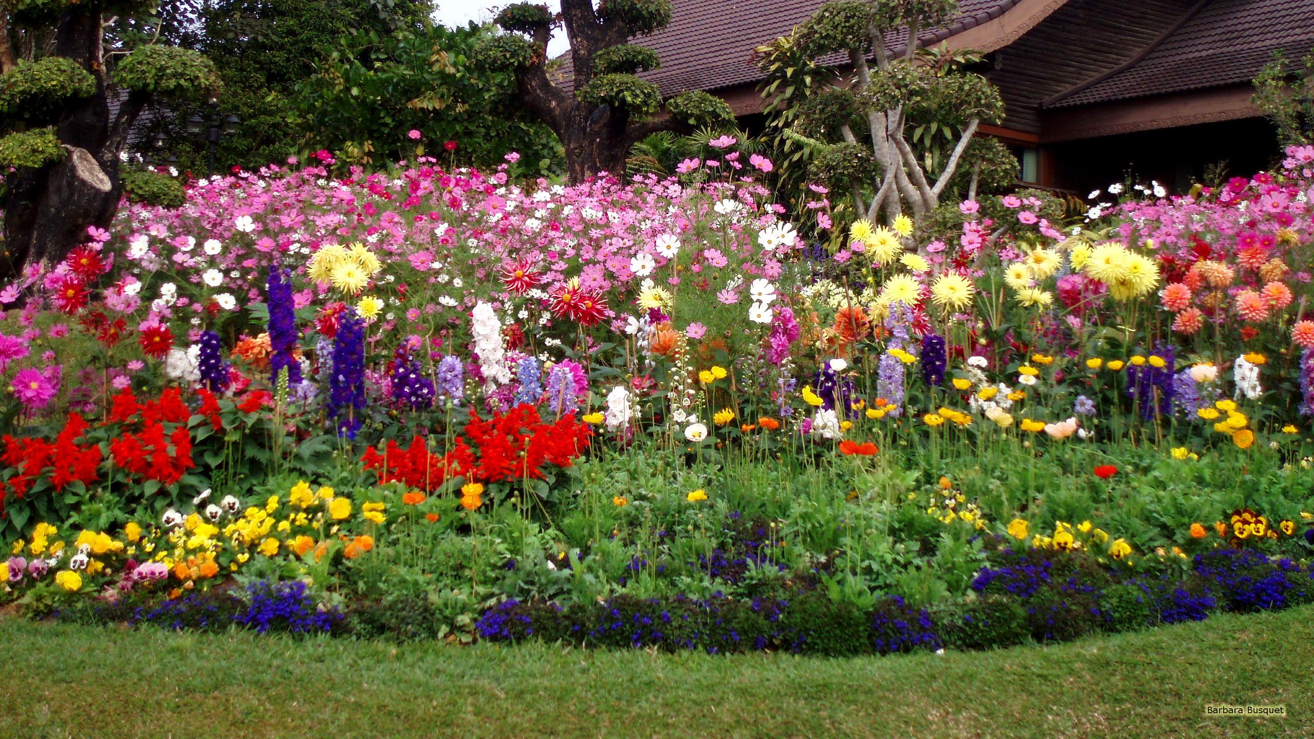 English Flower Garden Wallpapers Top Free English Flower Garden