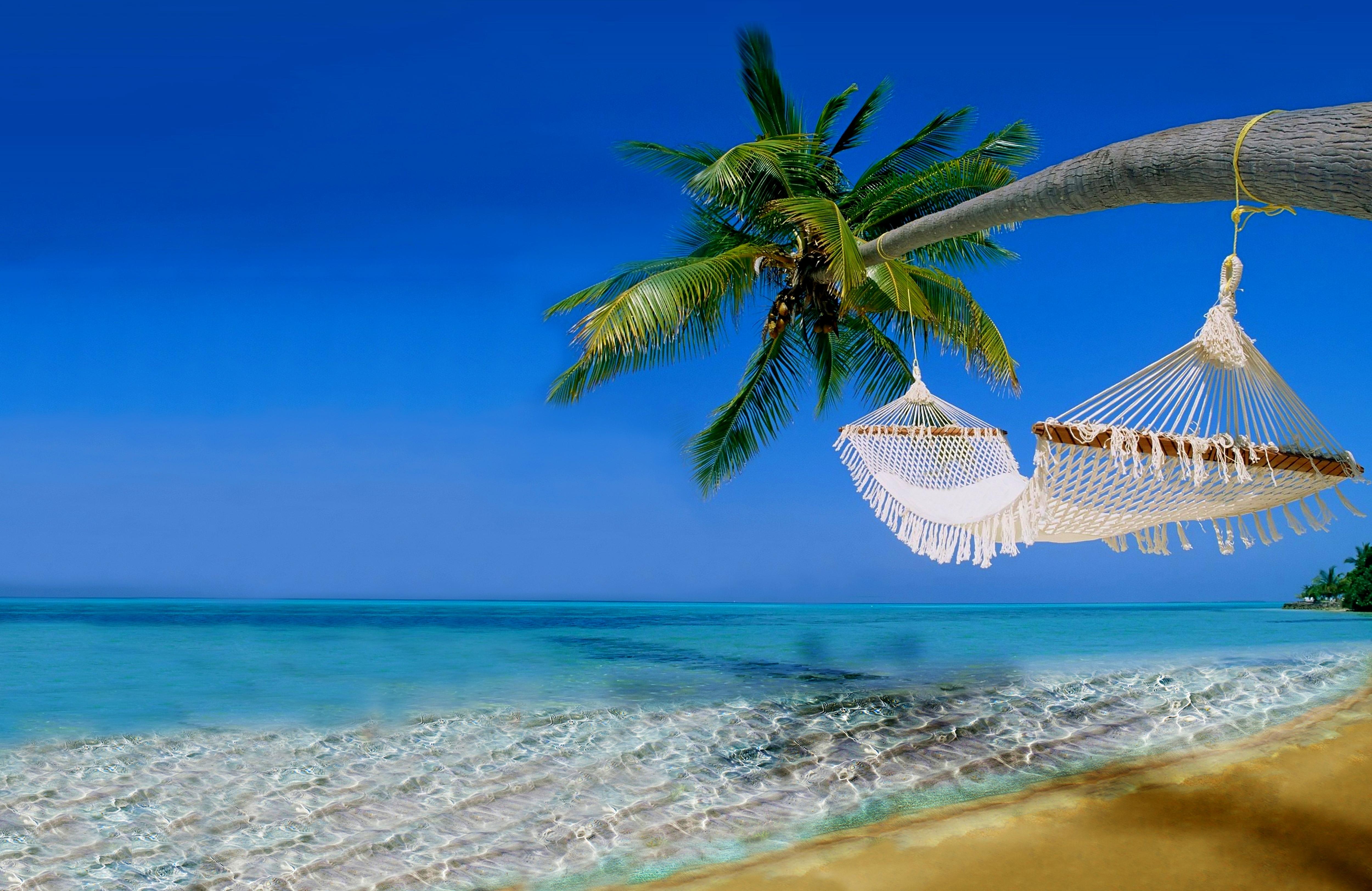 5000x3248 Hammock HD Wallpaper and Background