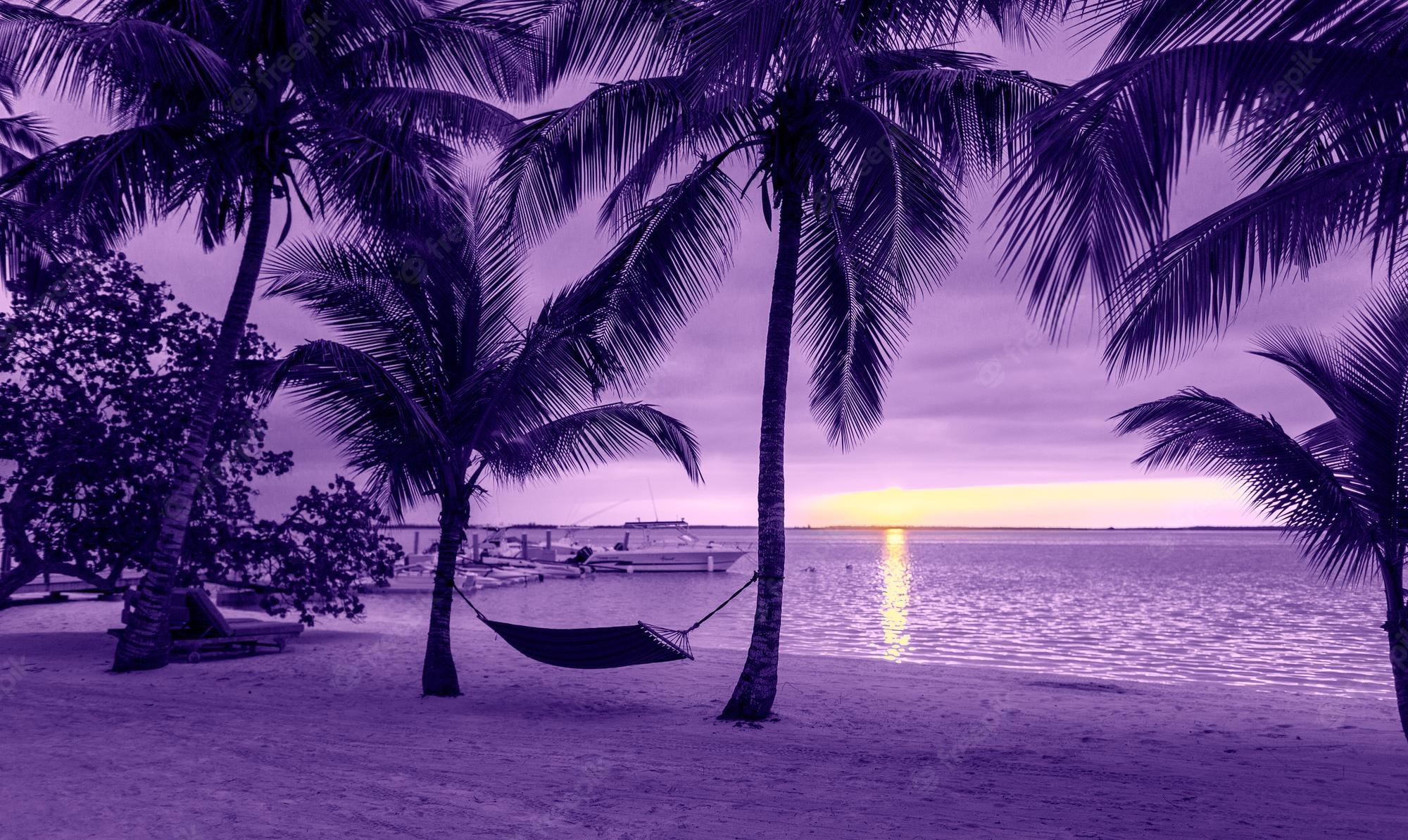 2000x1193 Premium Photo. Vacation, beach, summer and leisure concept of coconut trees with hammock on the beach, purple sunset view