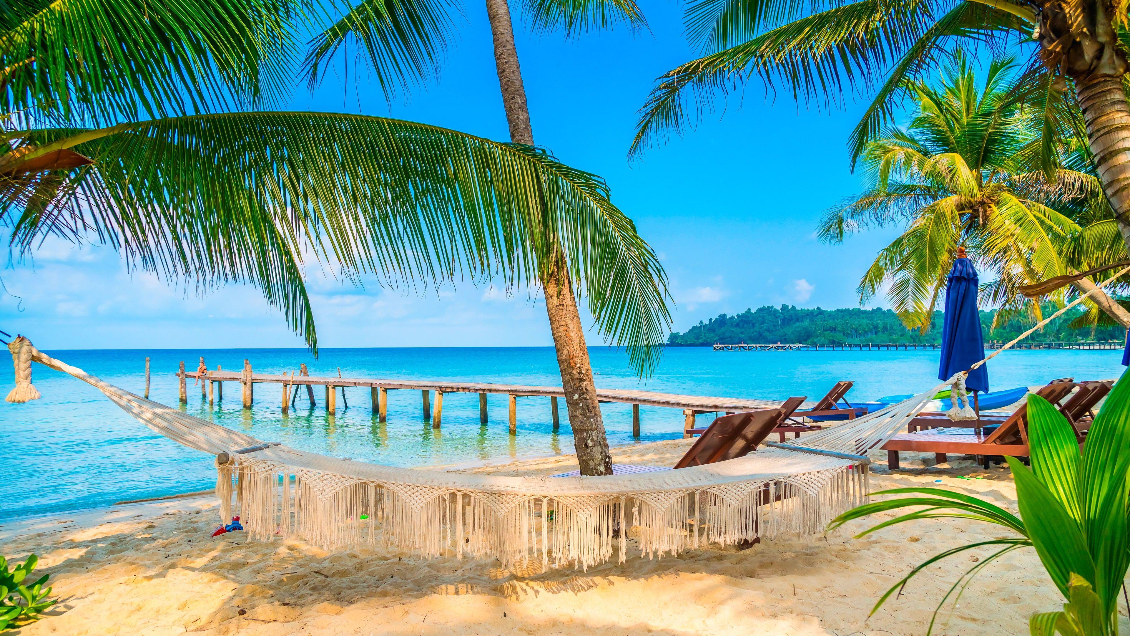 3840x2160 tourism #tropical tropical beach #summer #summertime #sky #lagoon #tree #shore #resort #hammock palm tre. Summer beach wallpaper, Beach wallpaper, Tropical beach