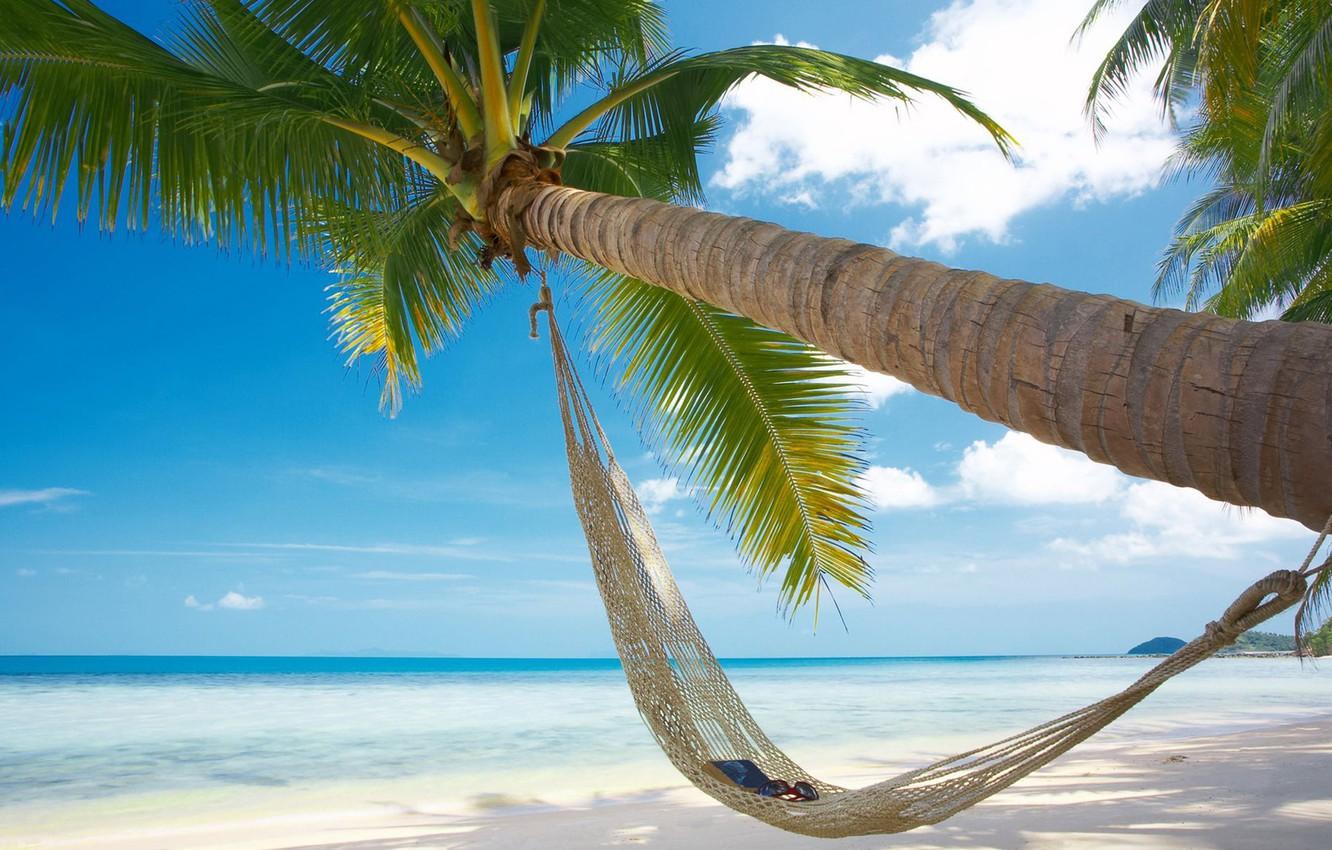 1332x850 Wallpaper sand, sea, beach, summer, the sun, Palma, heat, vacation, glasses, hammock, book image for desktop, section природа