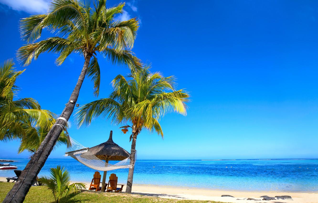 1332x850 Wallpaper sand, sea, beach, tropics, palm trees, shore, summer, sunshine, beach, sea, ocean, paradise, vacation, palms, hammock, tropical image for desktop, section природа