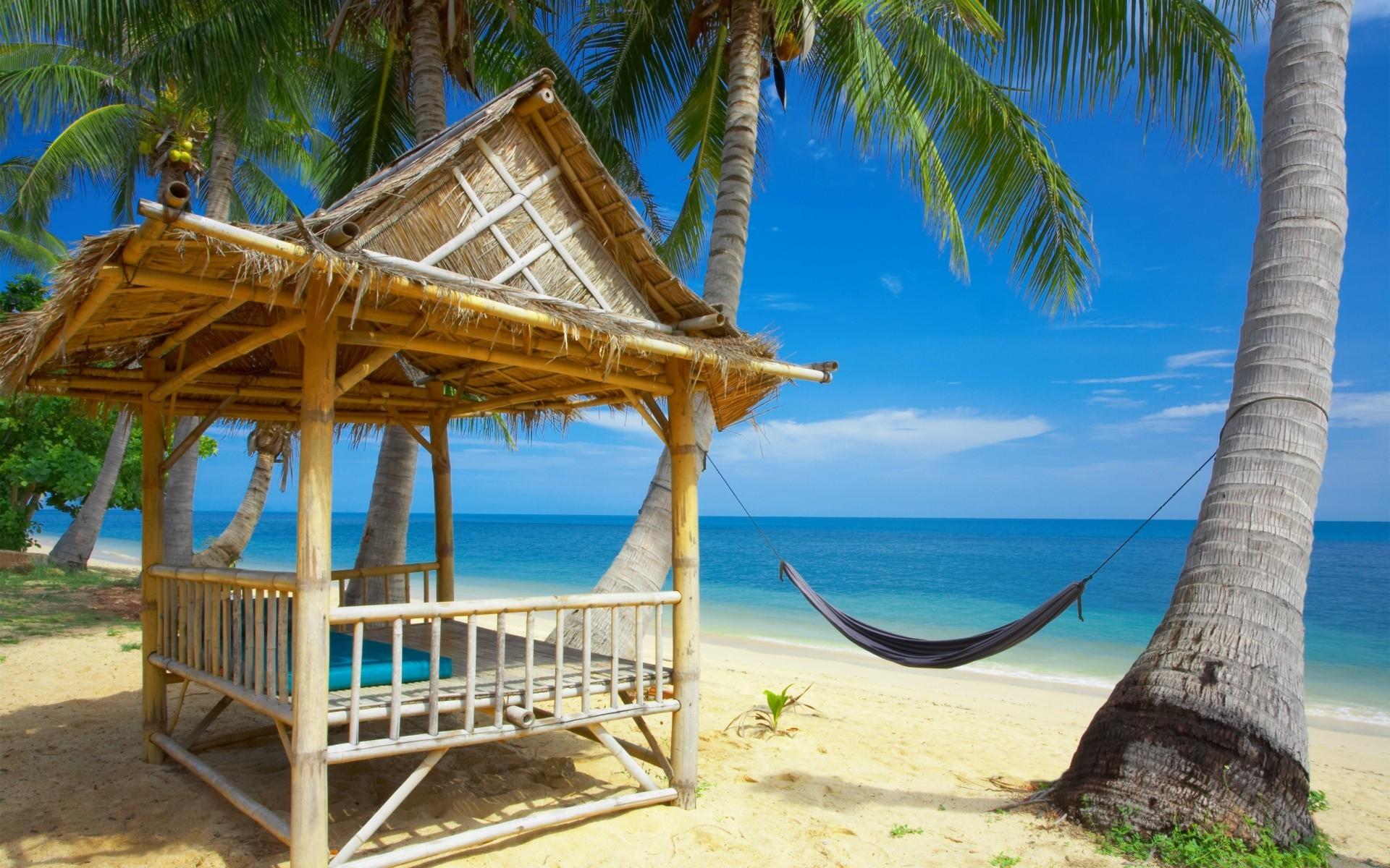 1920x1200 Tropical island with palm trees and hammock wallpaper
