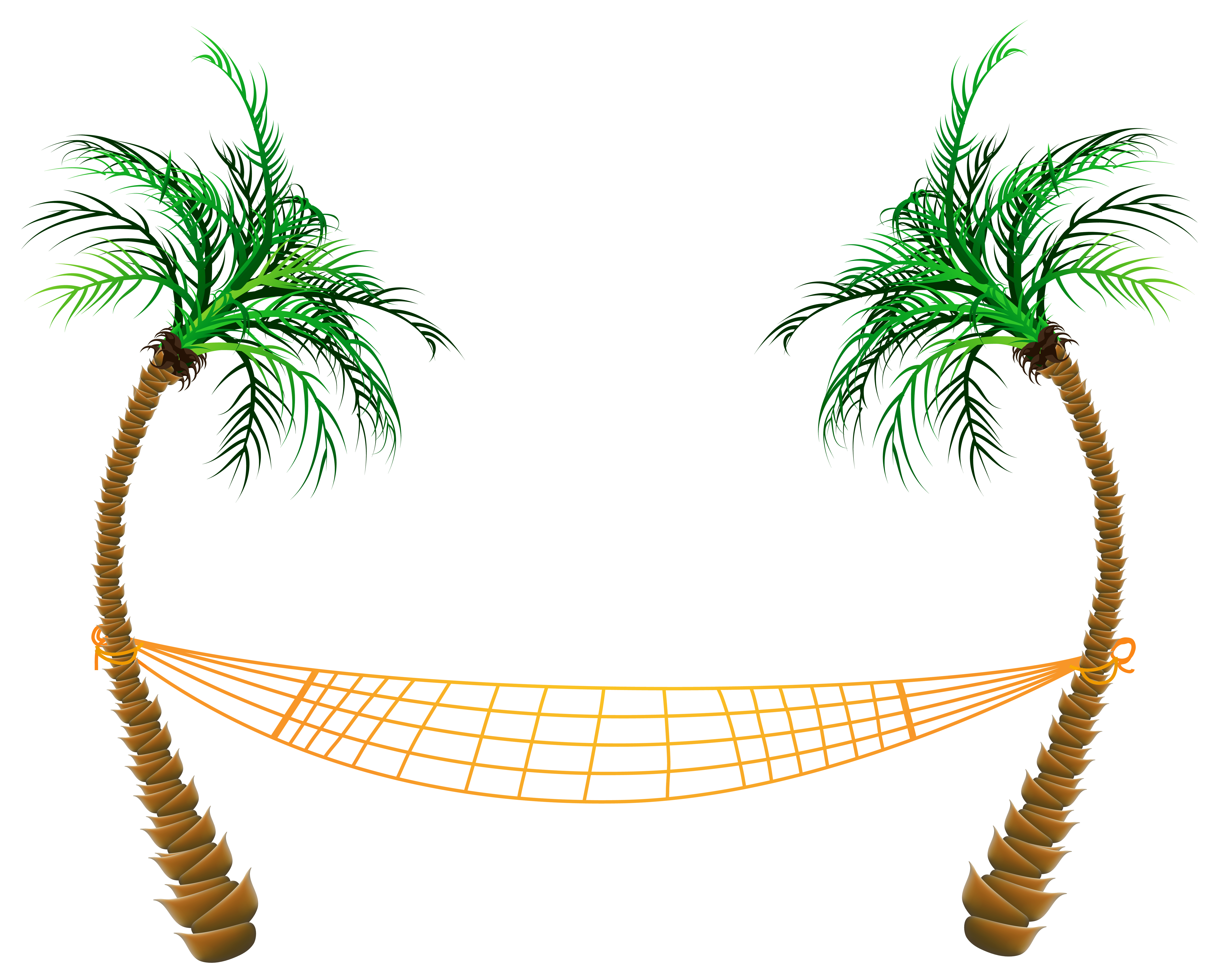 6447x5198 Transparent Palm Beach Hammock PNG Clipart​-Quality Free Image and Transparent PNG Clipart