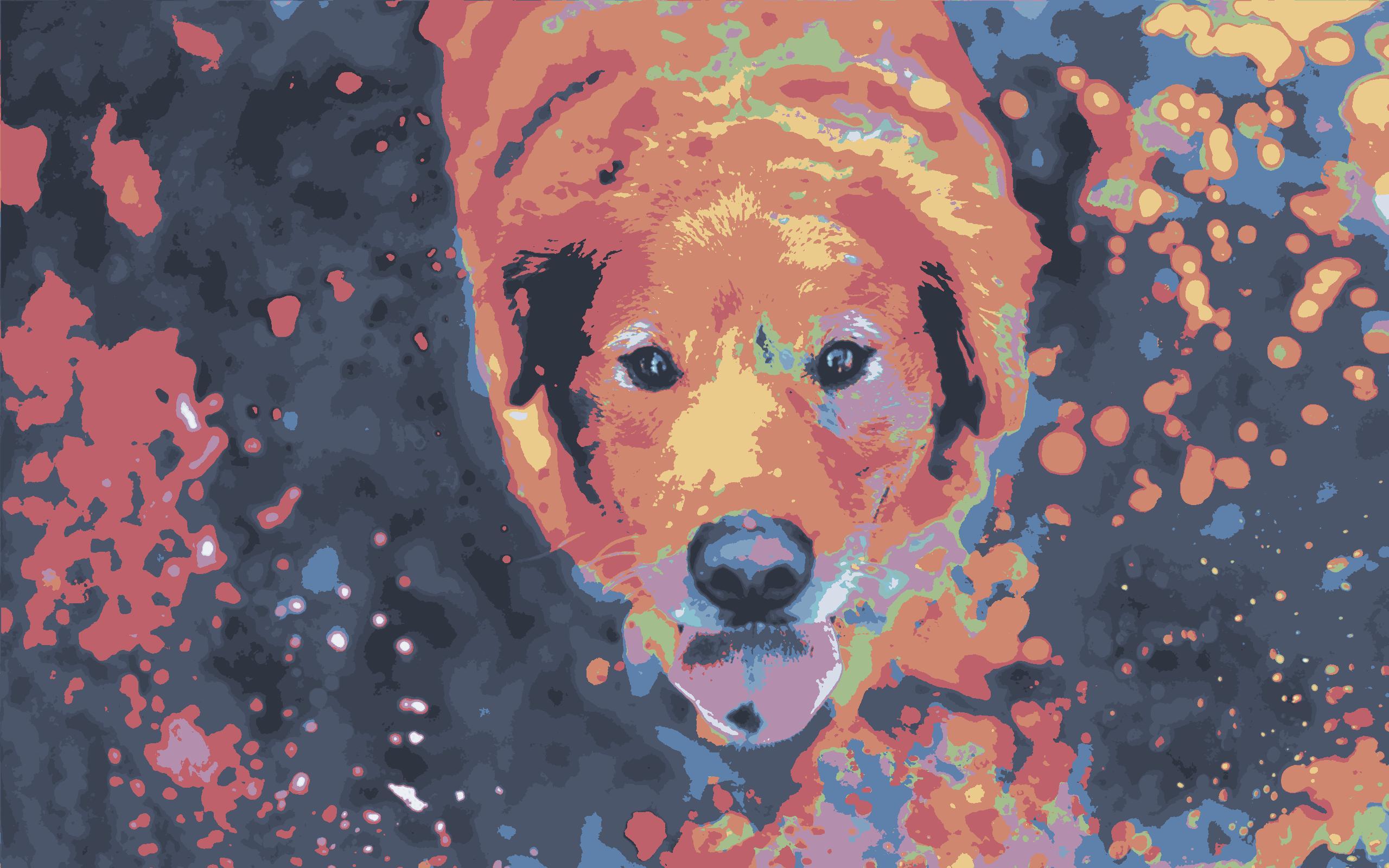 2560x1600 Animals 4K wallpaper for your desktop or mobile screen free and easy to download