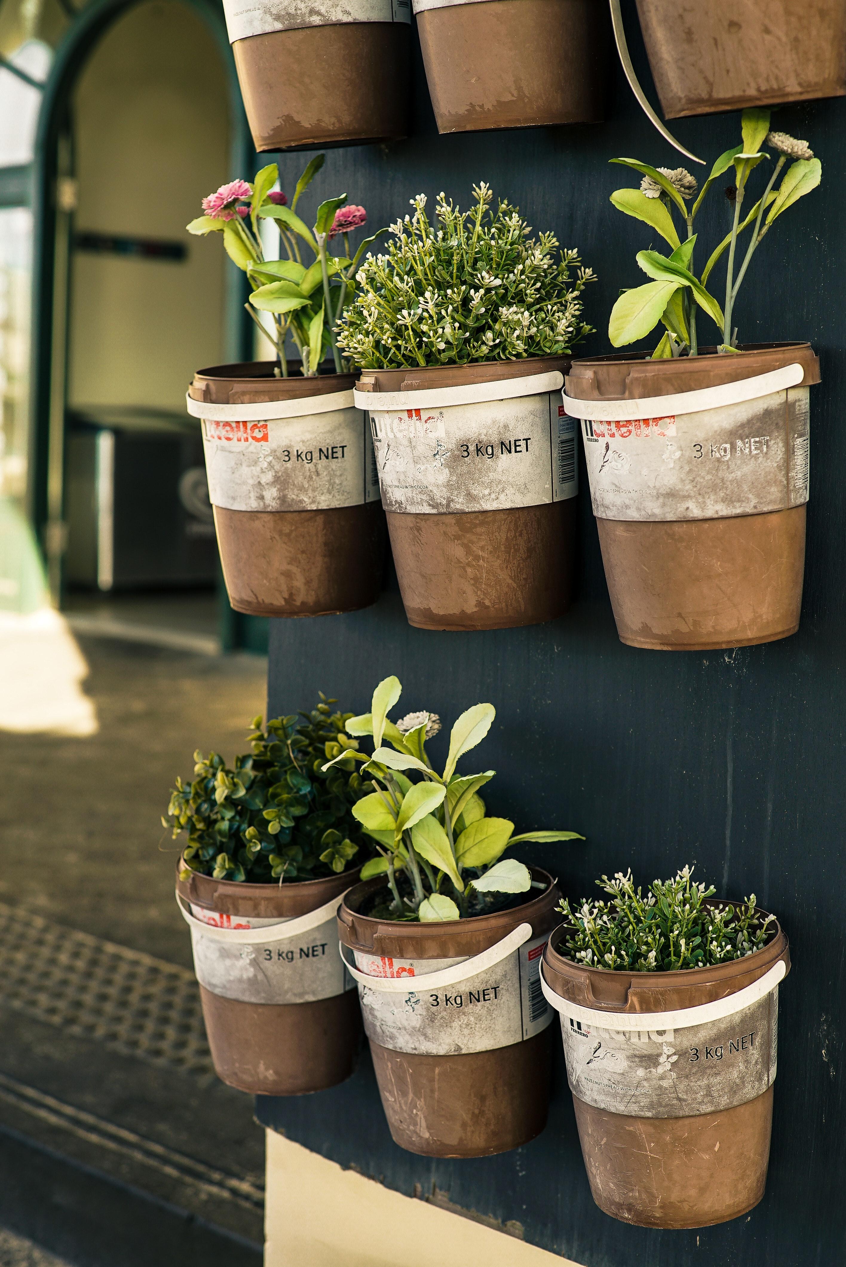 2832x4240 Herb Garden Photo, Download Free Herb Garden & HD Image