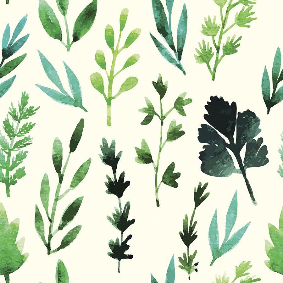 900x900 Herb Garden. Herbs illustration, Herb garden wall, Leaf wallpaper