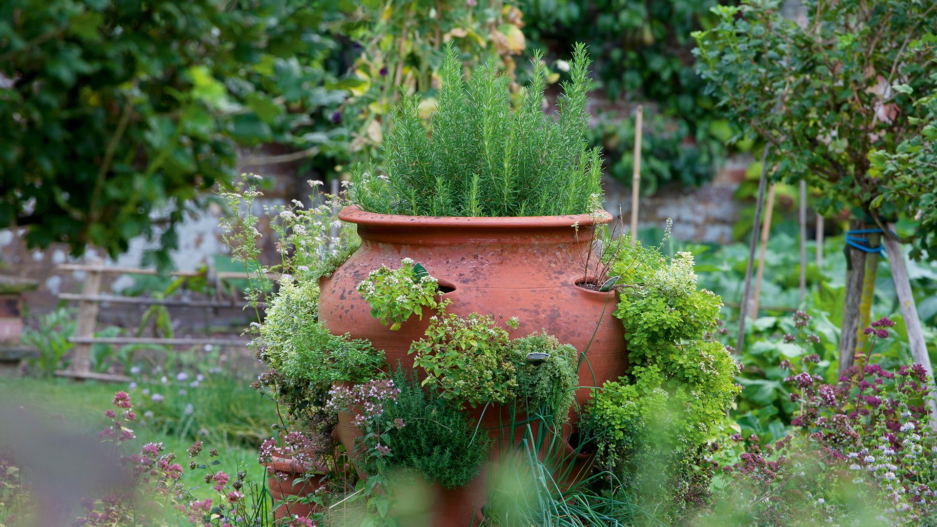 1920x1080 Herb planter ideas