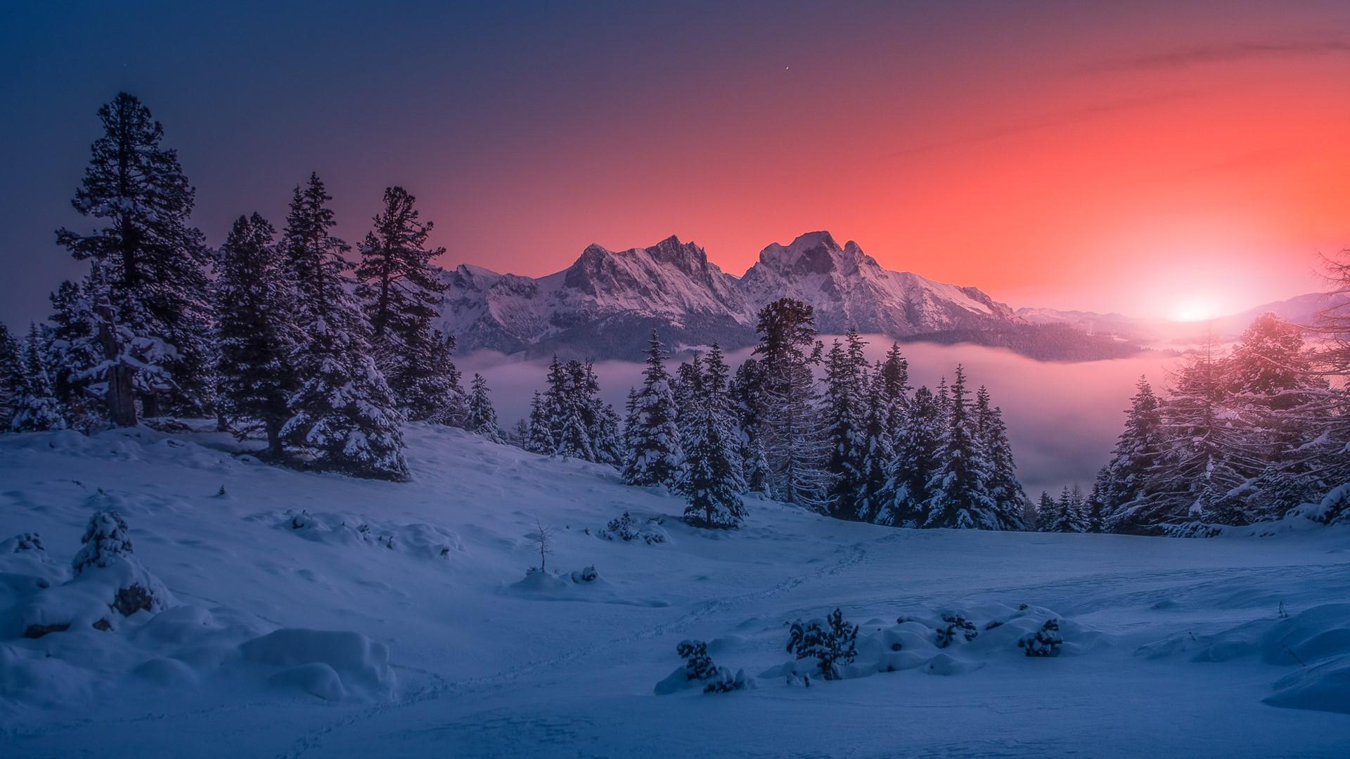 1920x1080 Wallpaper / winter, forest, nature, sunset, snow, cold, landscape free download