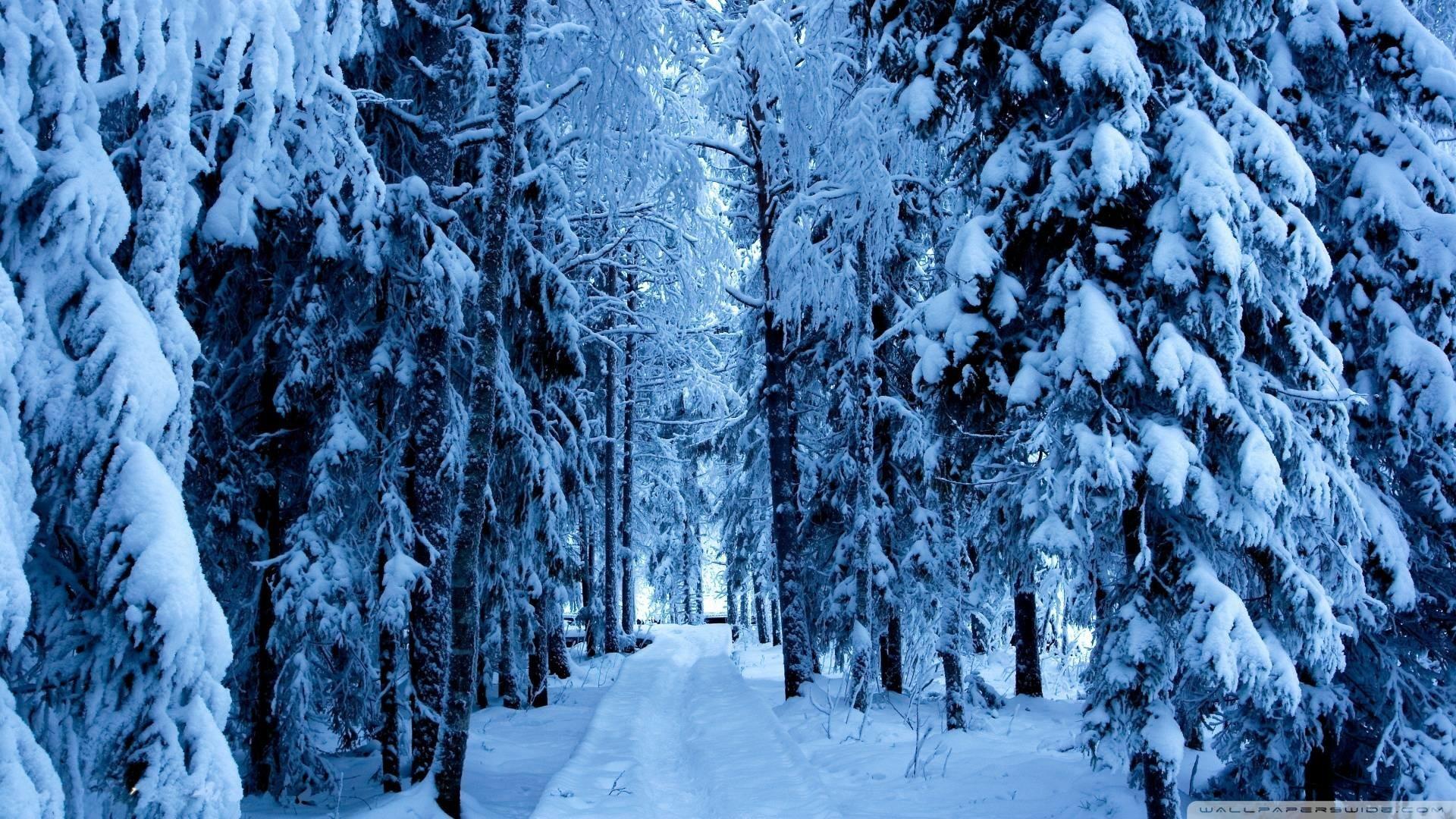 1920x1080 Snowy Wallpaper