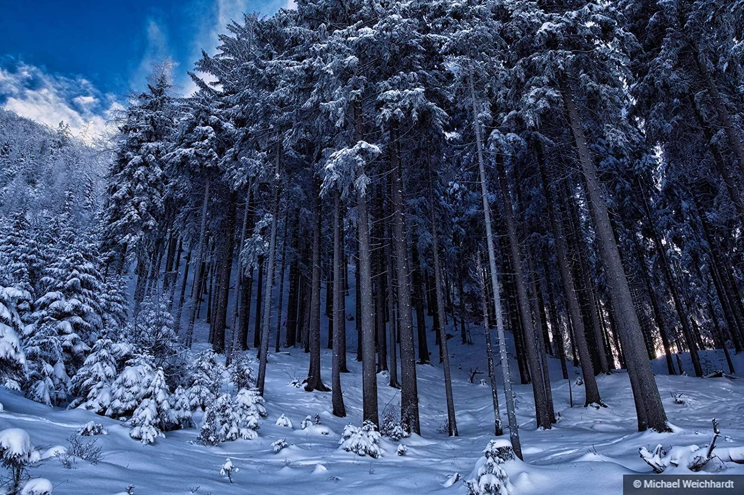 1500x999 Snow Scenery Wallpaper