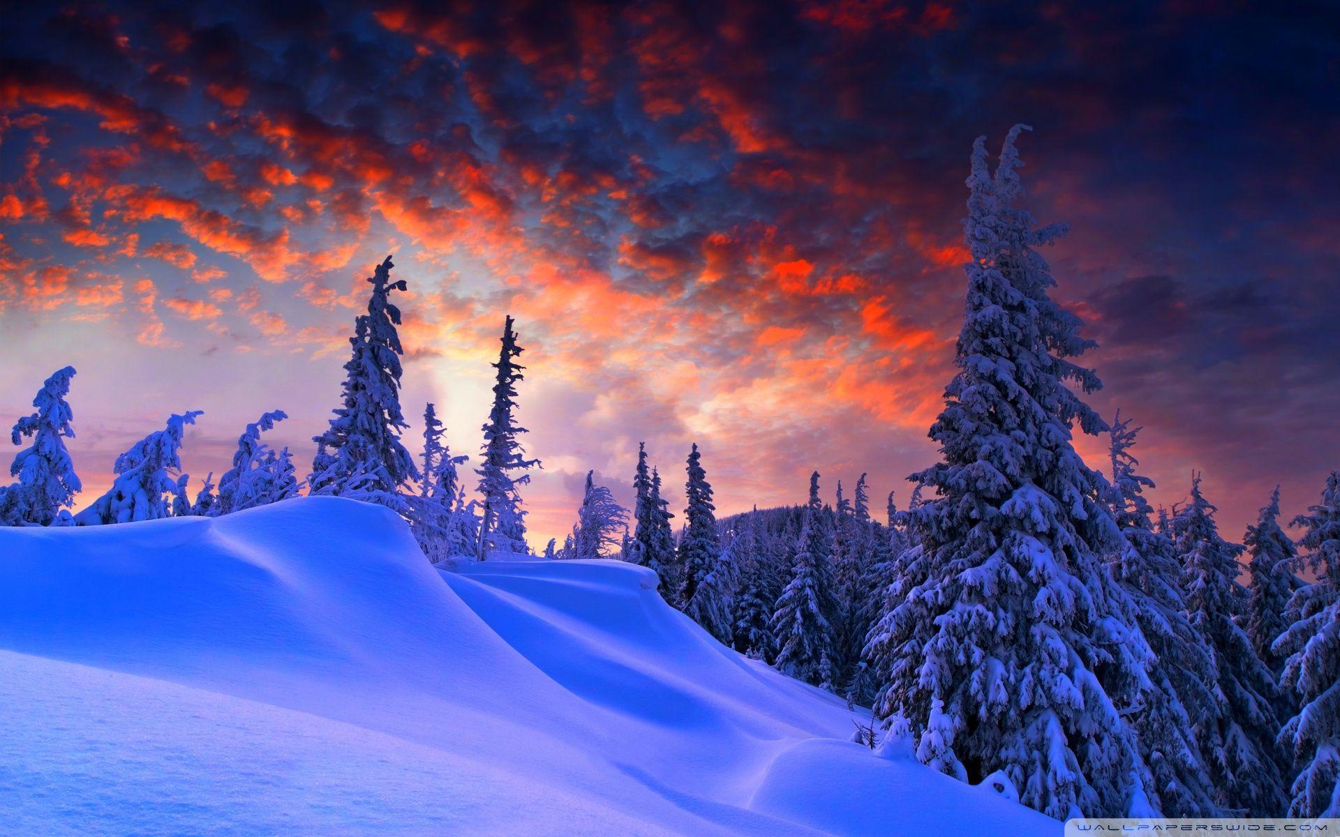 1920x1200 Winter Wallpaper