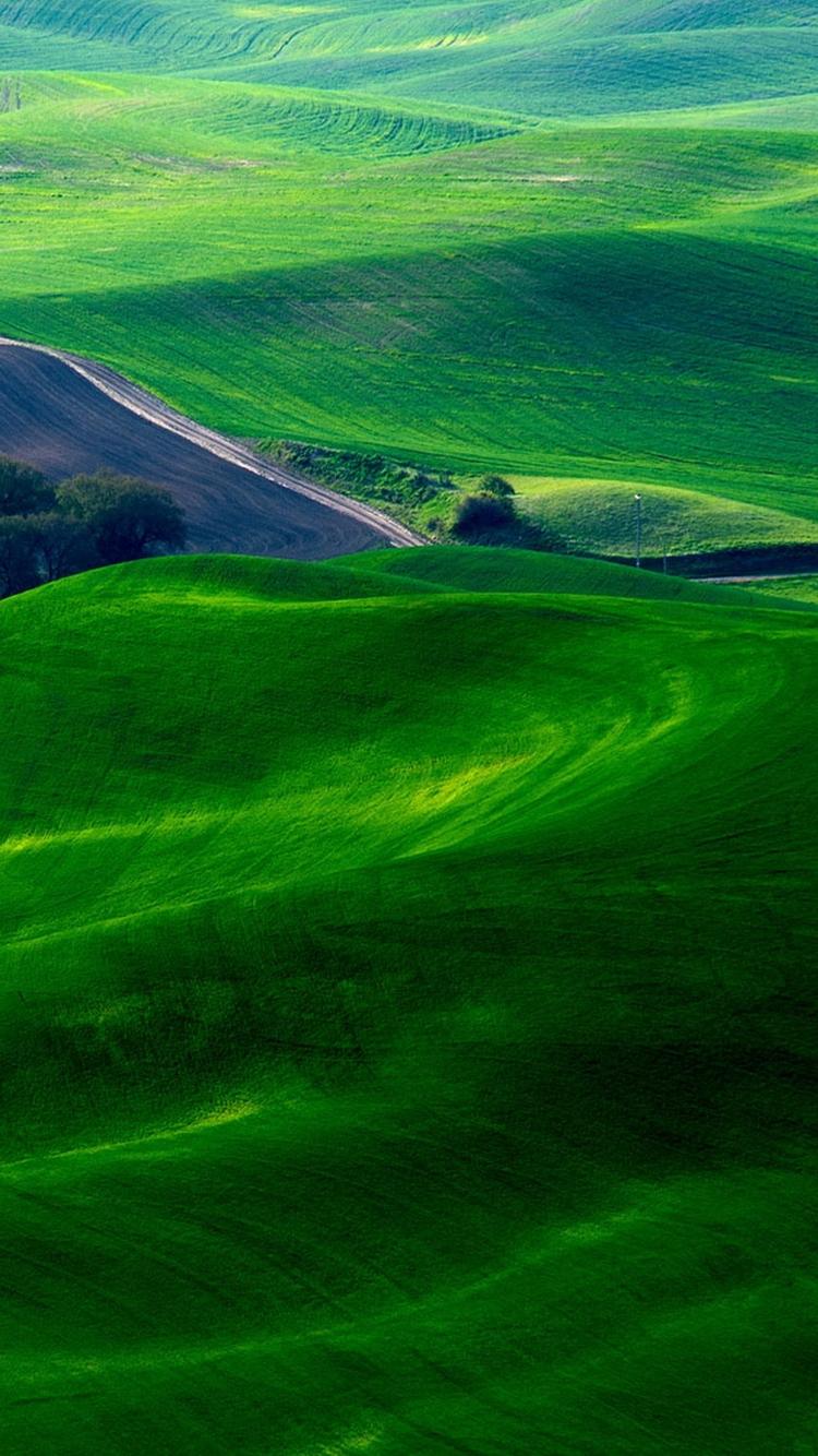 750x1334 FREE SPRING IPHONE WALLPAPERS