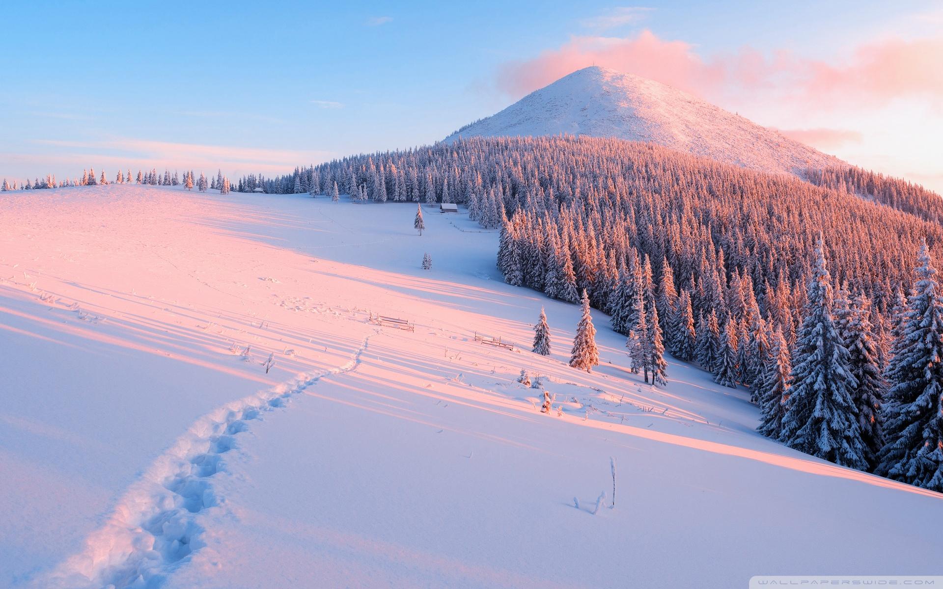 1920x1200 Winter, Nature Ultra HD Desktop Background Wallpaper for : Widescreen & UltraWide Desktop & Laptop : Multi Display, Dual Monitor : Tablet