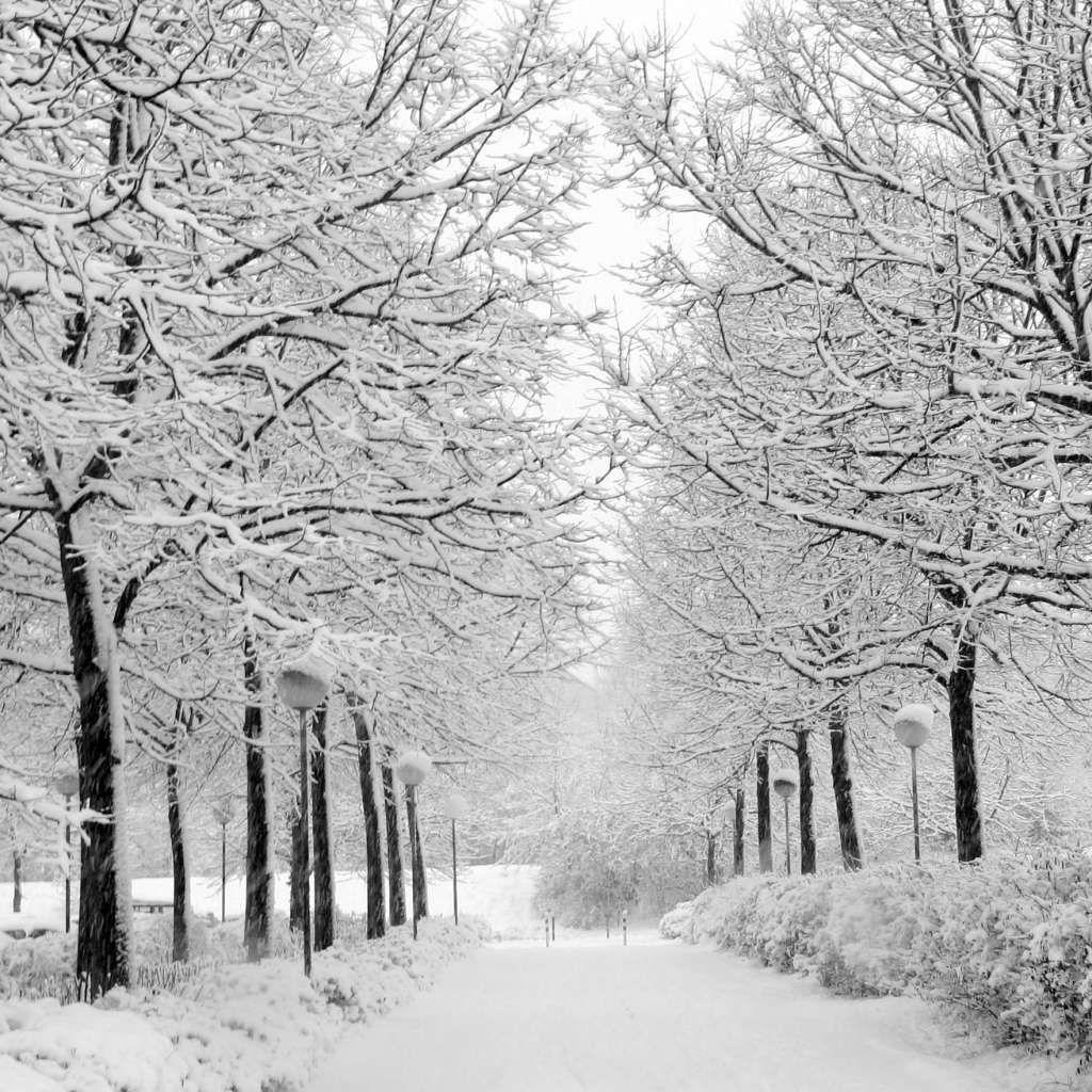 1024x1024 The Very Best Things About Winter. Winter wallpaper, Snow photography, Winter picture