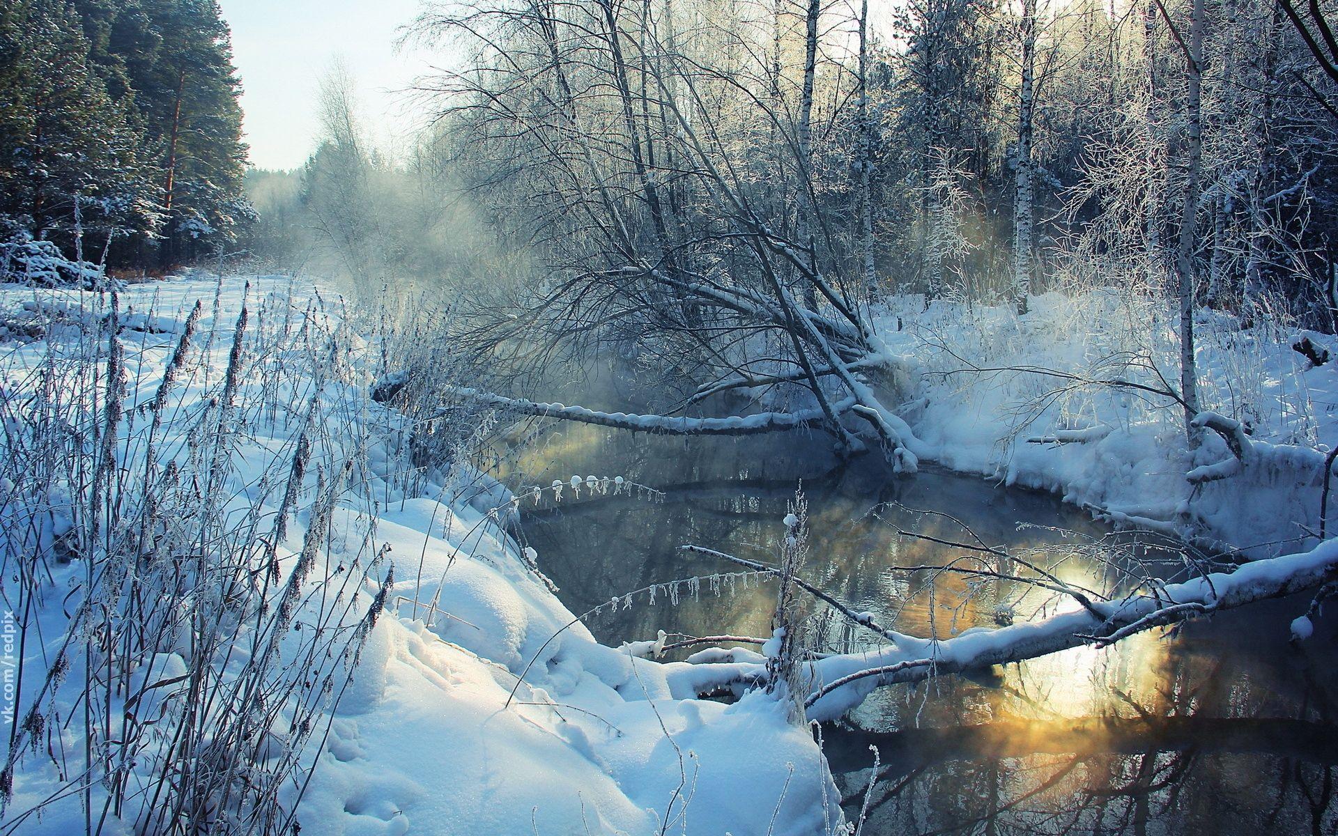 1920x1200 Wallpaper winter, river, snow, coast, hoarfrost, landscape, morning, tree. Пейзажи, Идеи озеленения, Фото пейзажа