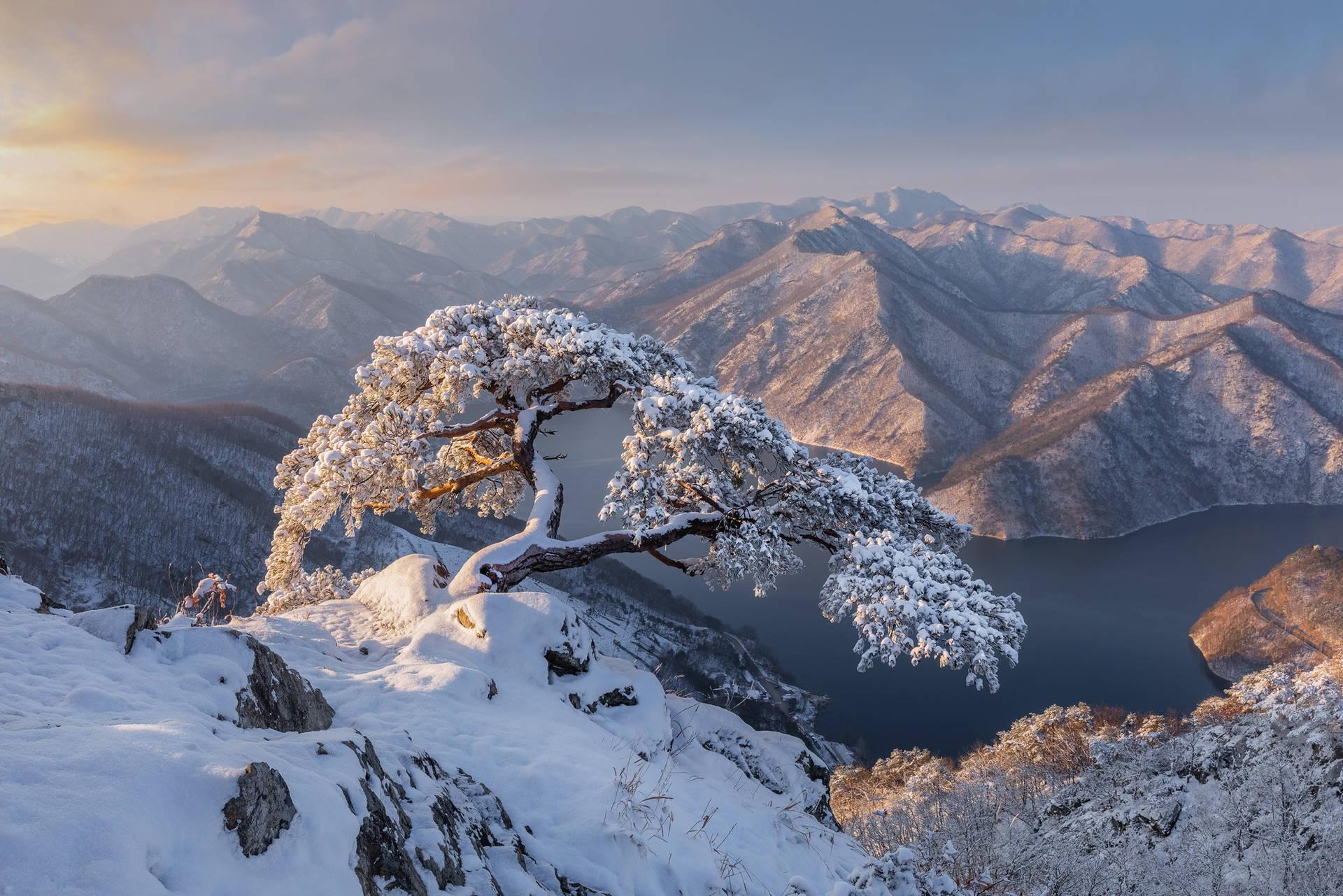 1920x1281 Download South Korea Snow Wallpaper