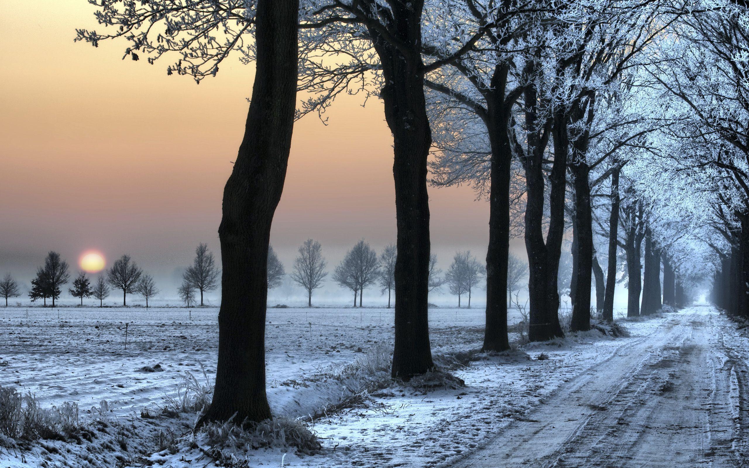 2560x1600 Winter Cute Roads Wallpaper