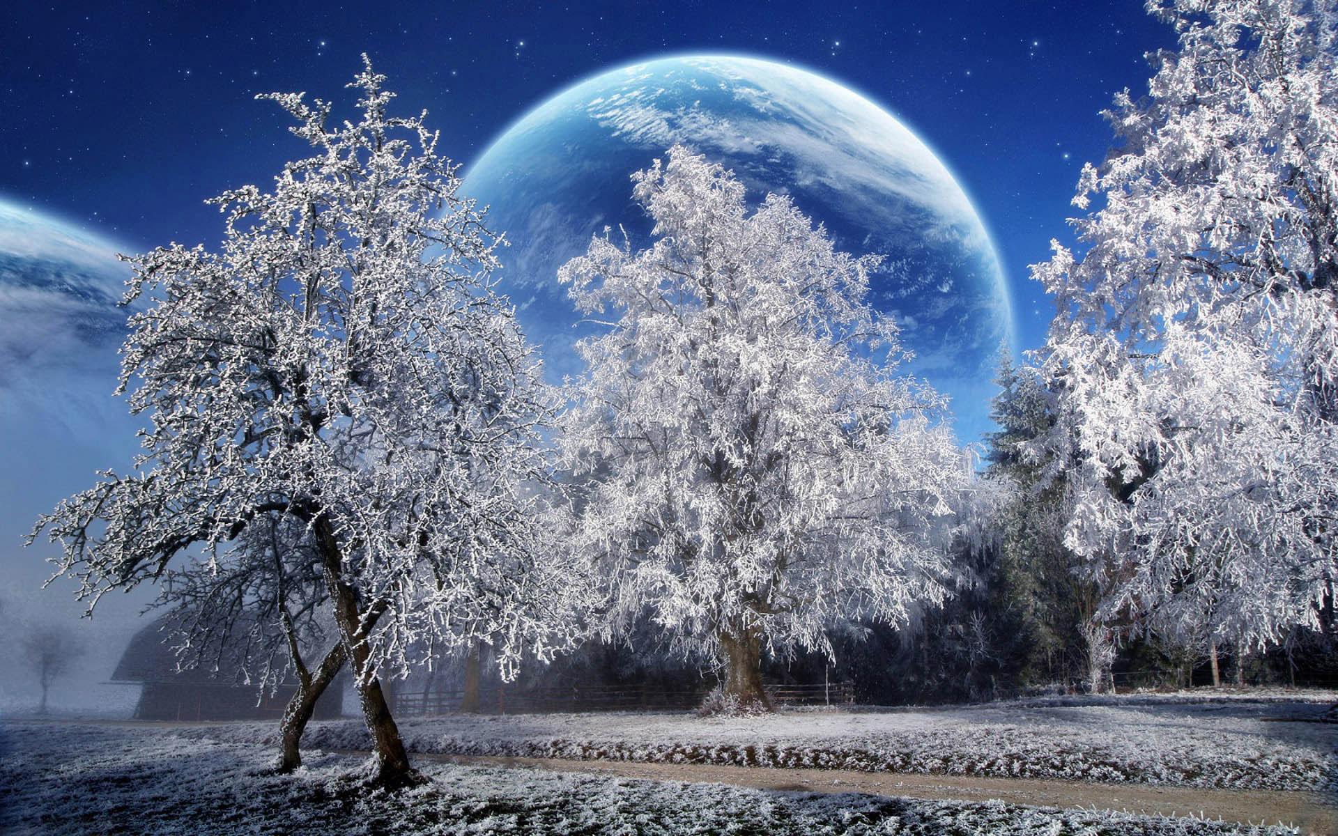 1920x1200 Winter Scene Desktop Background