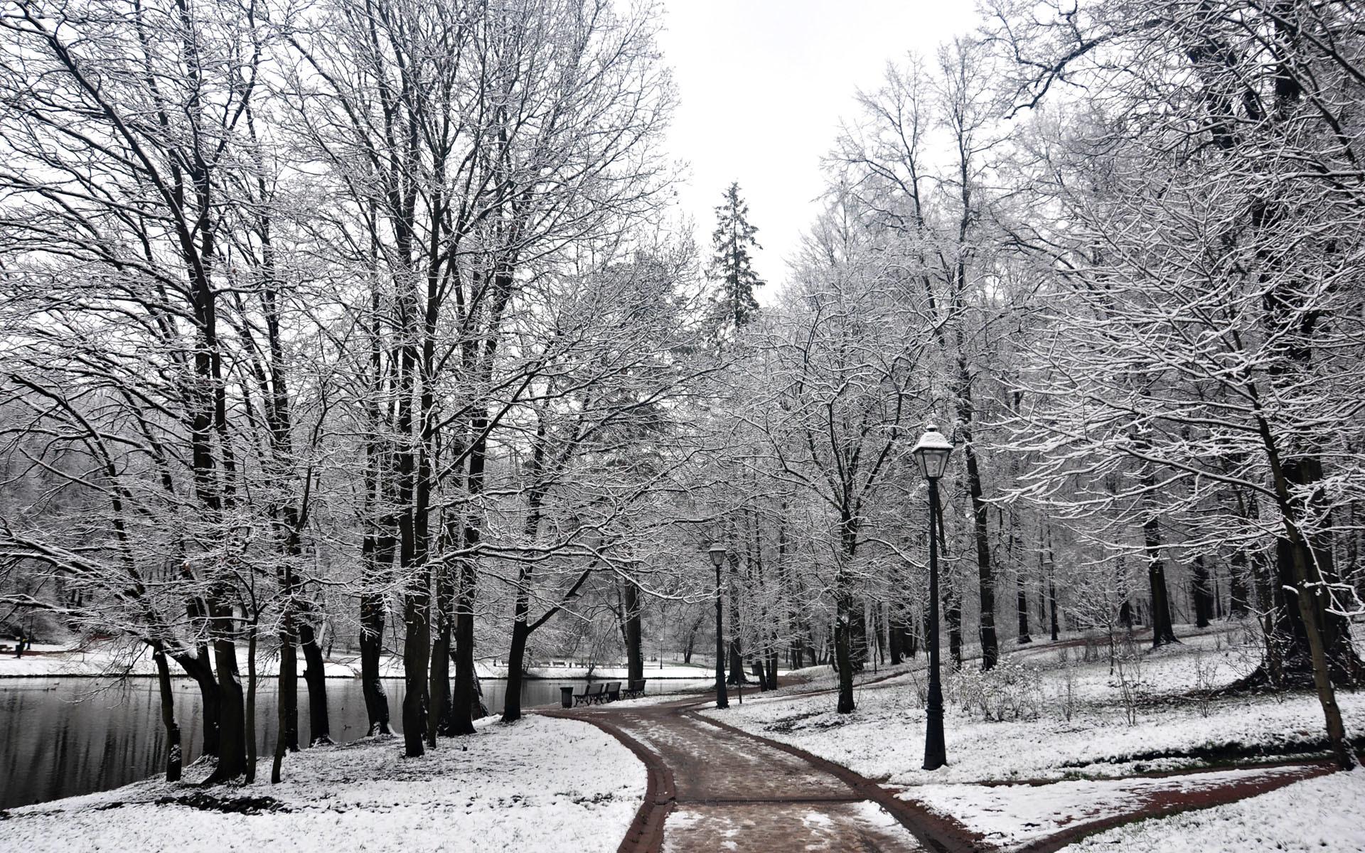 1920x1200 Winter Wallpaper For Computer Desktop