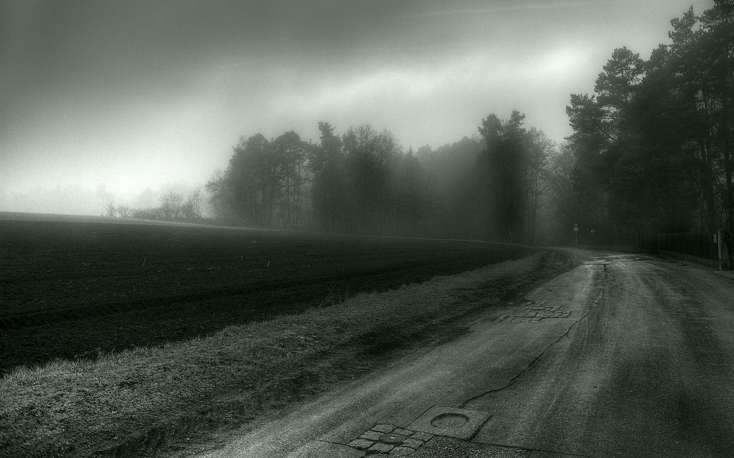 2560x1600 Black and White Background, Picture, Wallpaper, Image