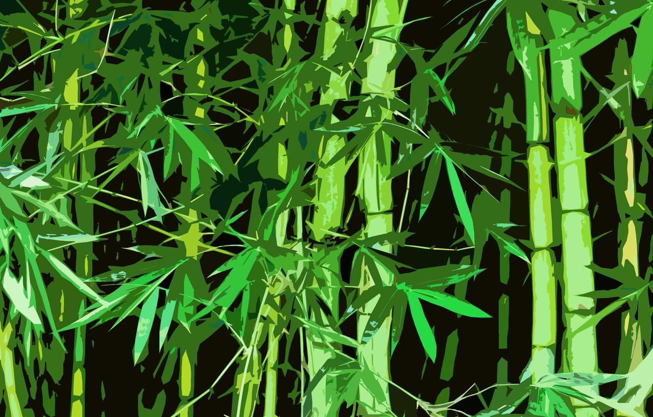 Chinese Bamboo Forest Wallpapers - Top Free Chinese Bamboo Forest ...