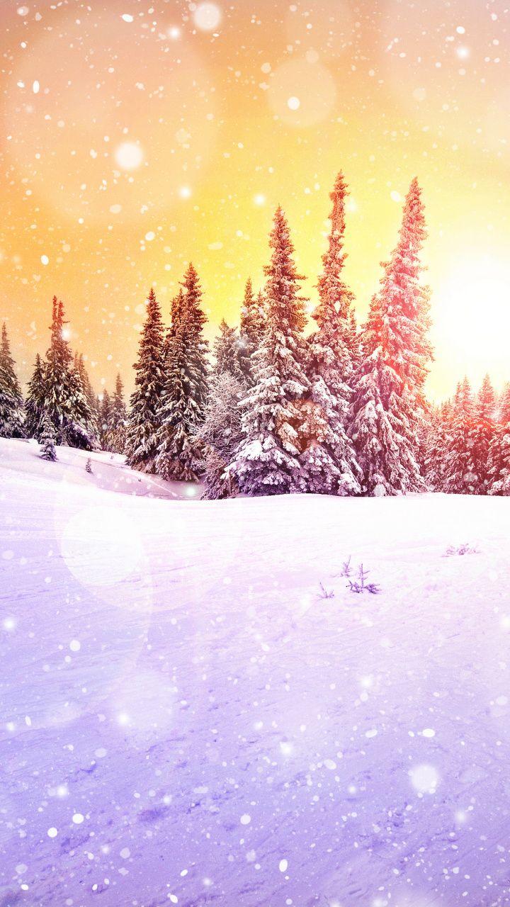 720x1280 Download 720x1280 Wallpaper Freezing, Sky, Purple, Snow, Fir