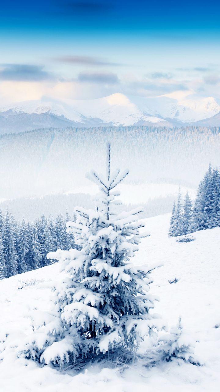720x1280 Download 720x1280 Wallpaper Christmas, Holiday, Desert, Mountainous