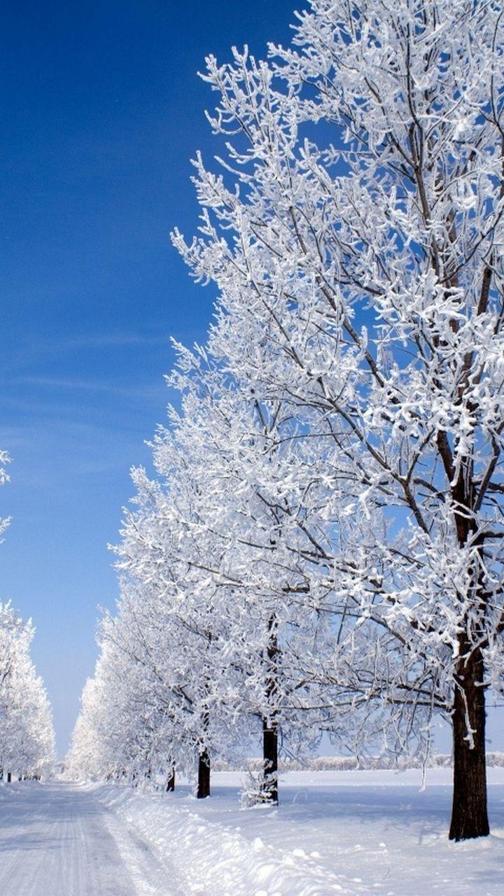720x1280 Galaxy S3 Wallpaper HD, stunning wallpaper. Snow