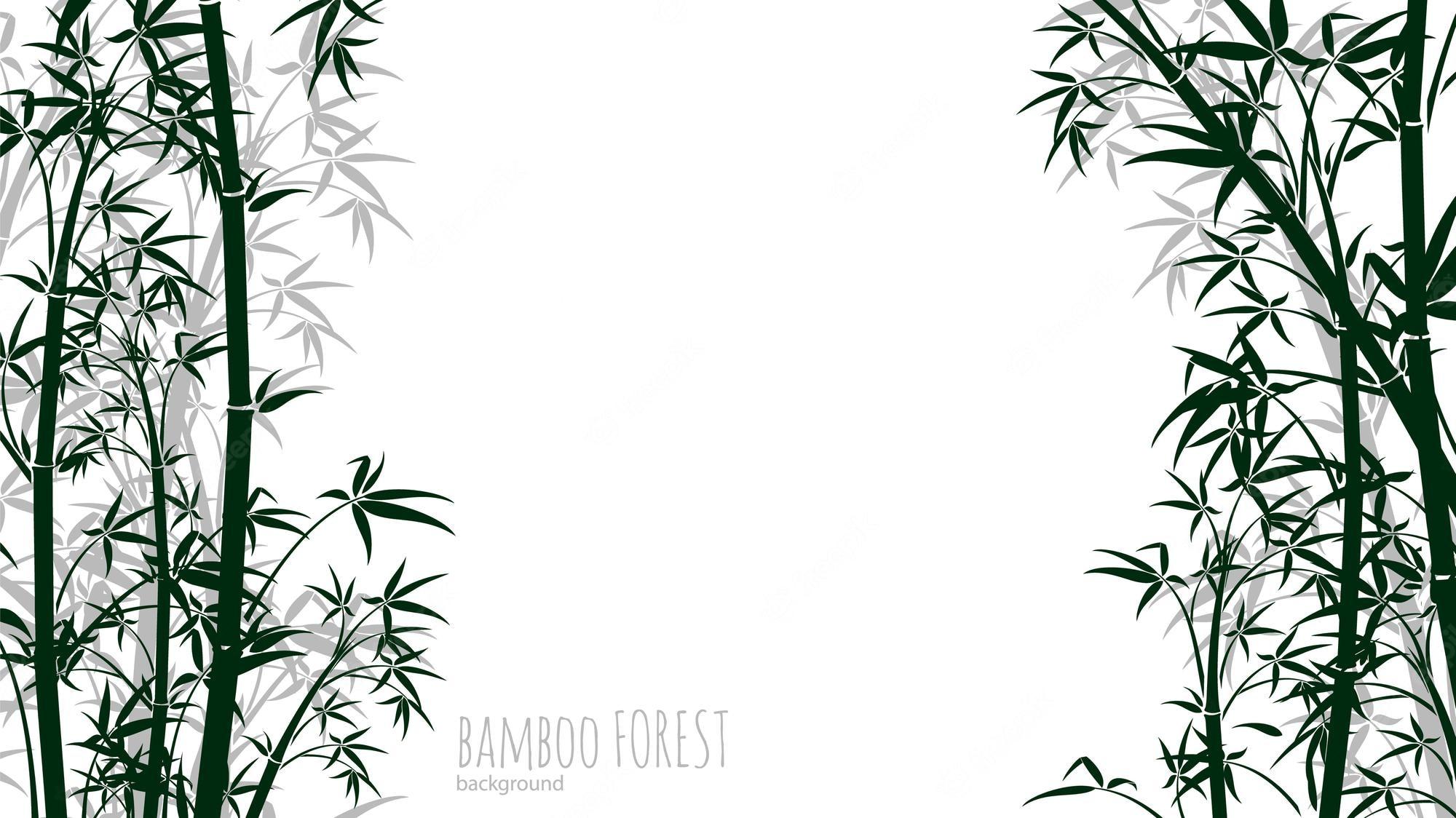 2000x1124 Premium Vector. Bamboo forest background. chinese, japanese tropical rainforest