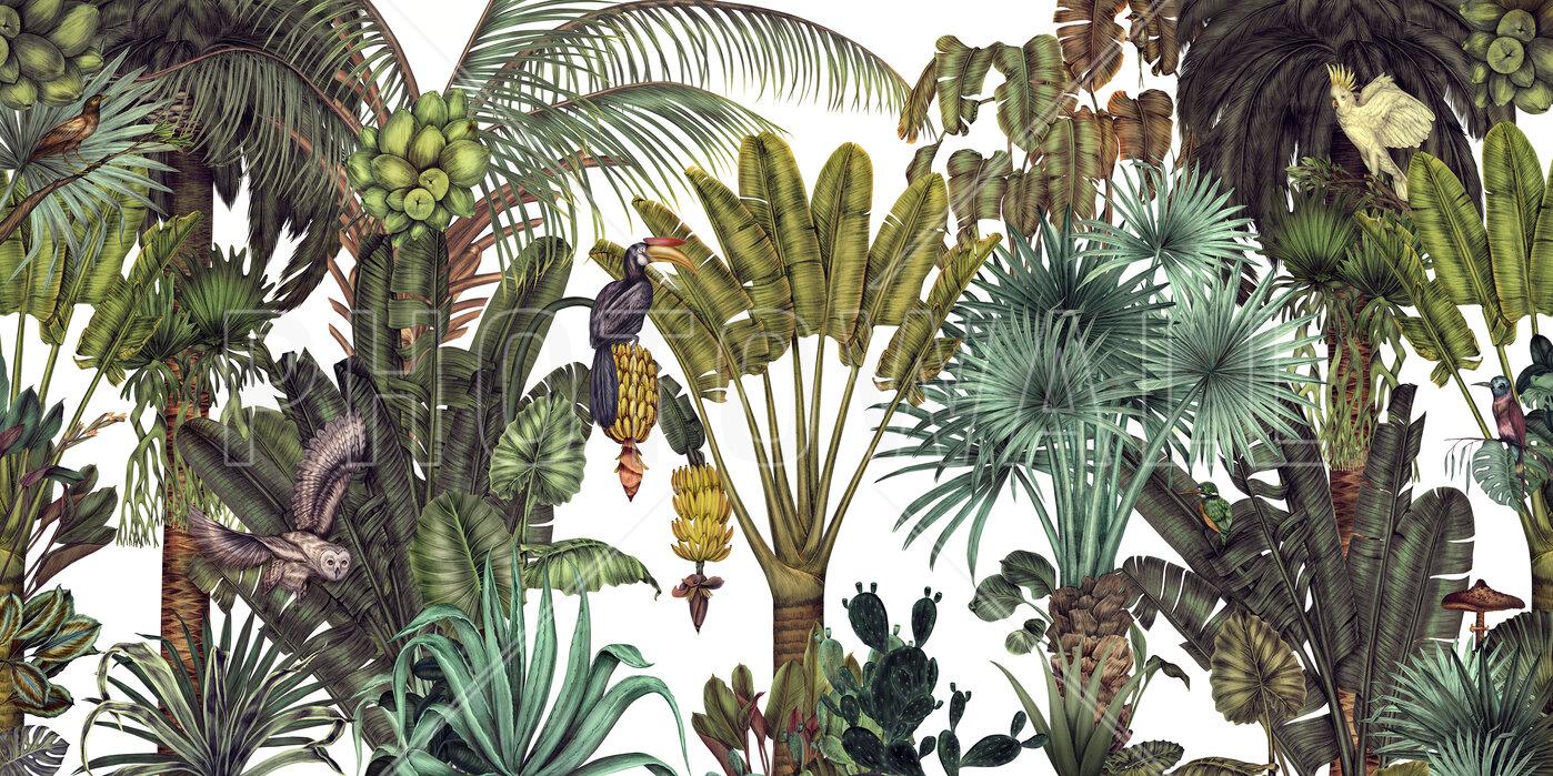 1398x699 Find the Birds in the Jungle