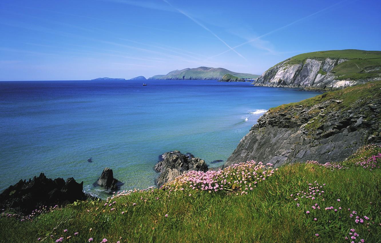 1332x850 Wallpaper the sky, flowers, the ocean, rocks, Ireland, Ireland, Slea Head, Island Blasket, County Kerry, County Kerry, Blasket Islands image for desktop, section пейзажи