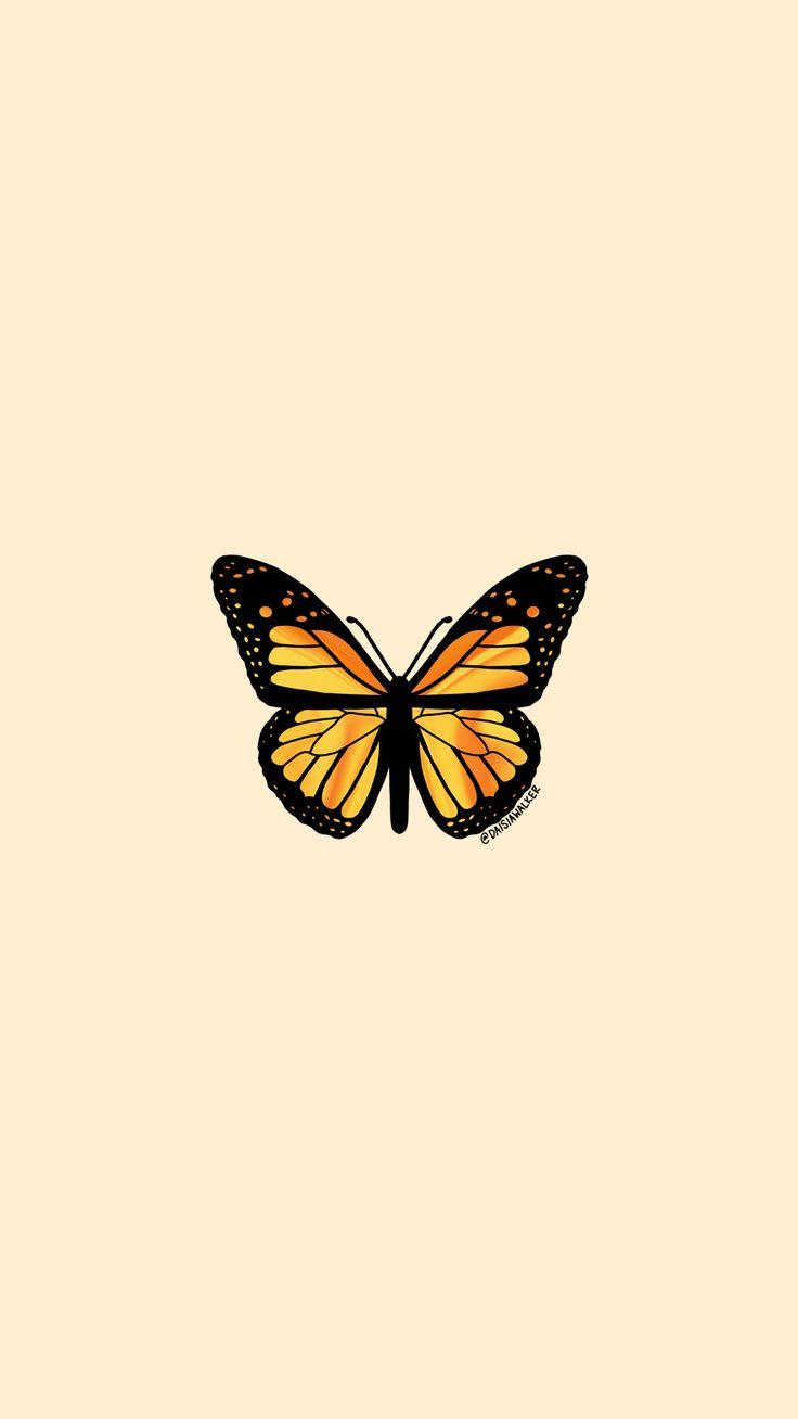 736x1308 Yellow Orange Butterfly. iPhone wallpaper yellow, Aesthetic iphone wallpaper, Butterfly wallpaper