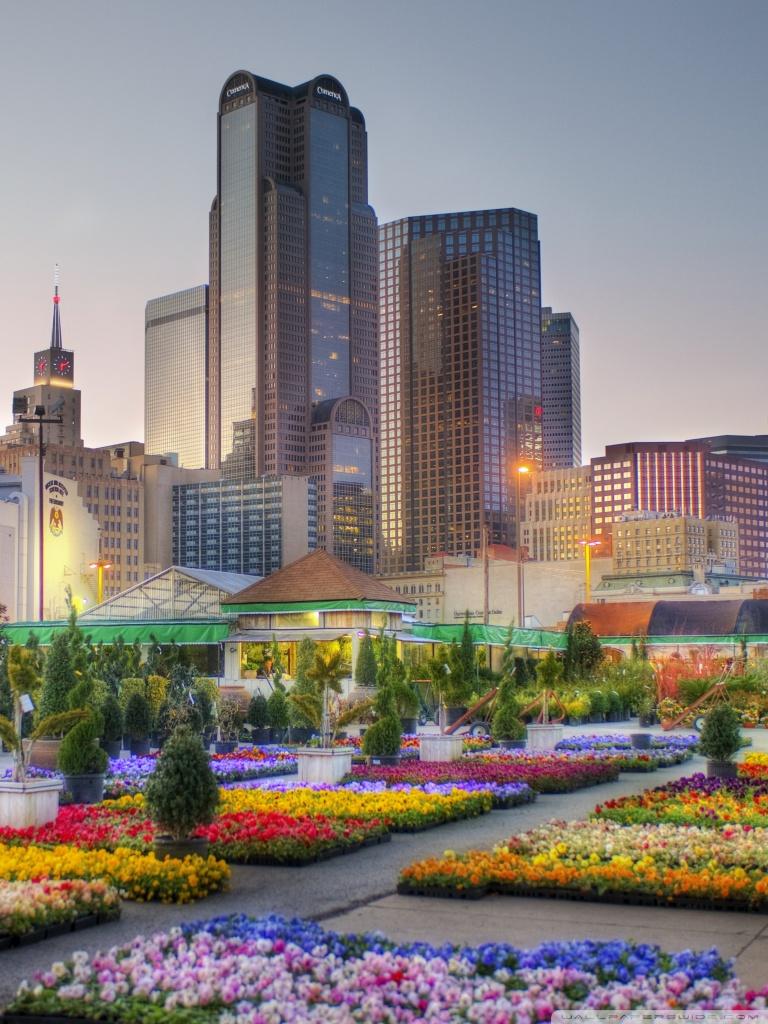 768x1024 Downtown Dallas From The Flower Market Ultra HD Desktop Background Wallpaper for 4K UHD TV : Widescreen & UltraWide Desktop & Laptop : Tablet