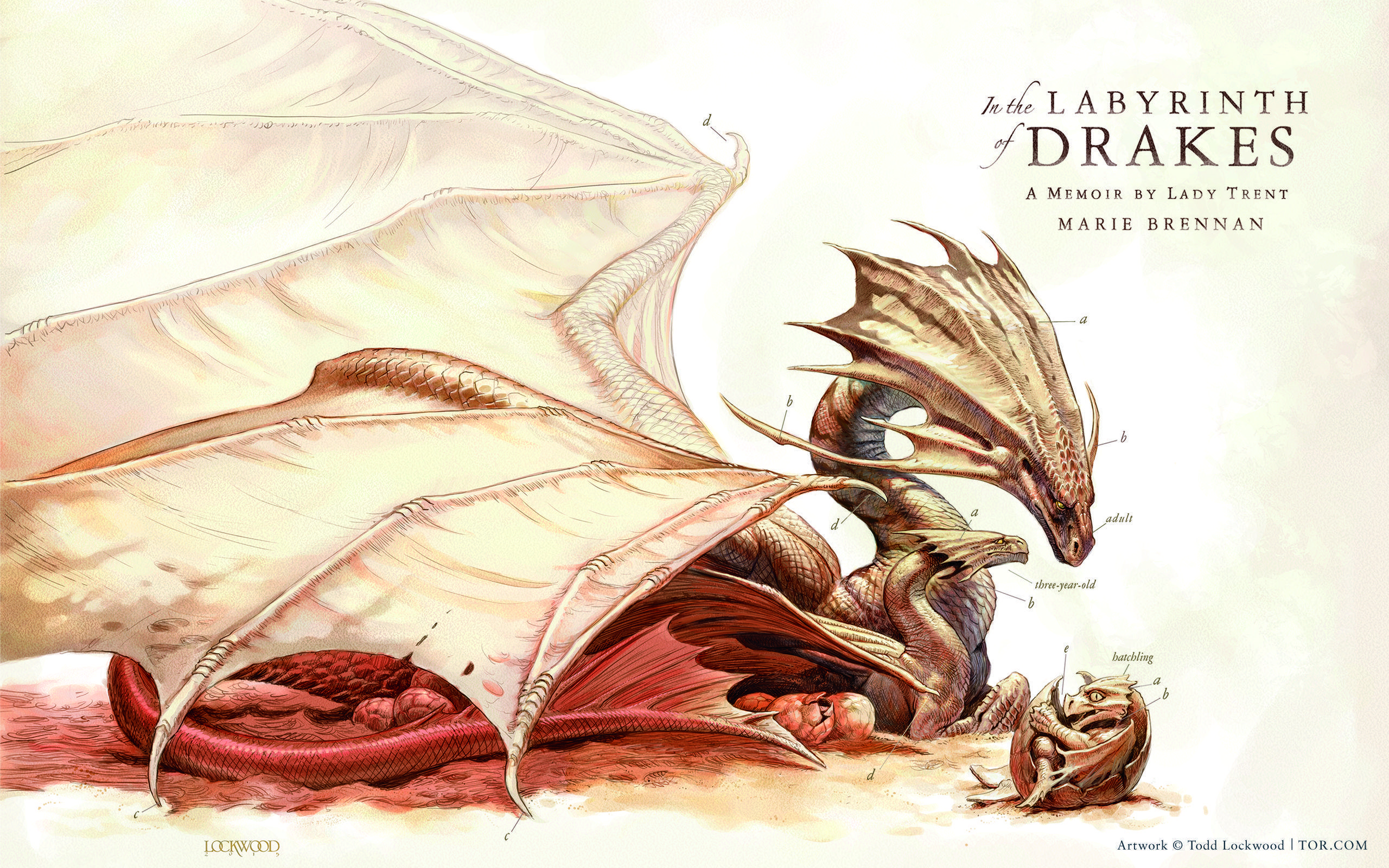 2560x1600 Show Off Your Love of Dragons with Wallpaper by Todd Lockwood!