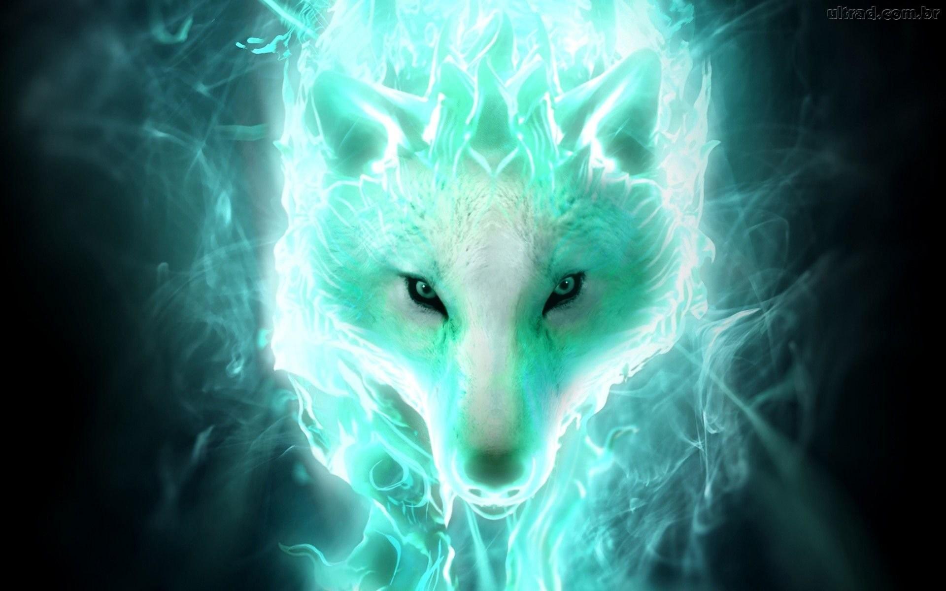 1920x1200 Galaxy Wolf Wallpaper
