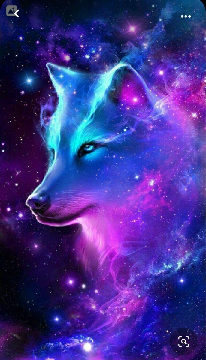 686x1200 Galaxy wolf. Cute animals image, Cute animal photo, Animal photo