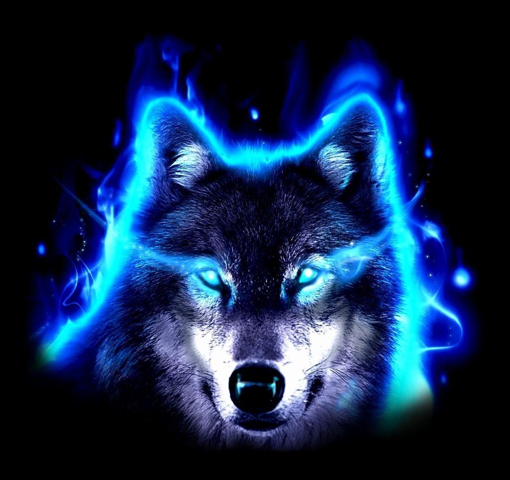 1024x964 Neon Wolves Wallpaper